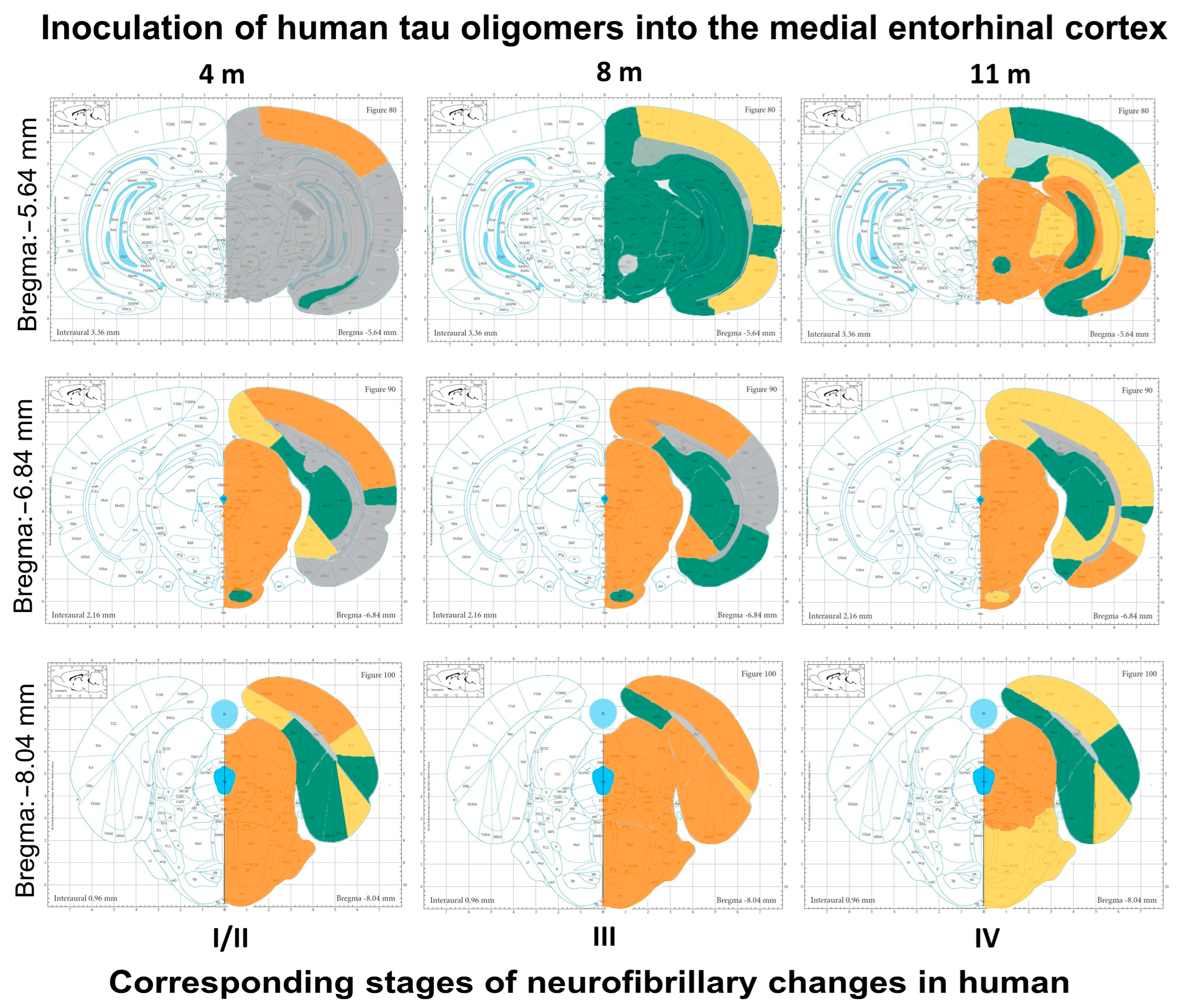 Biomedicines 11 01004 g011