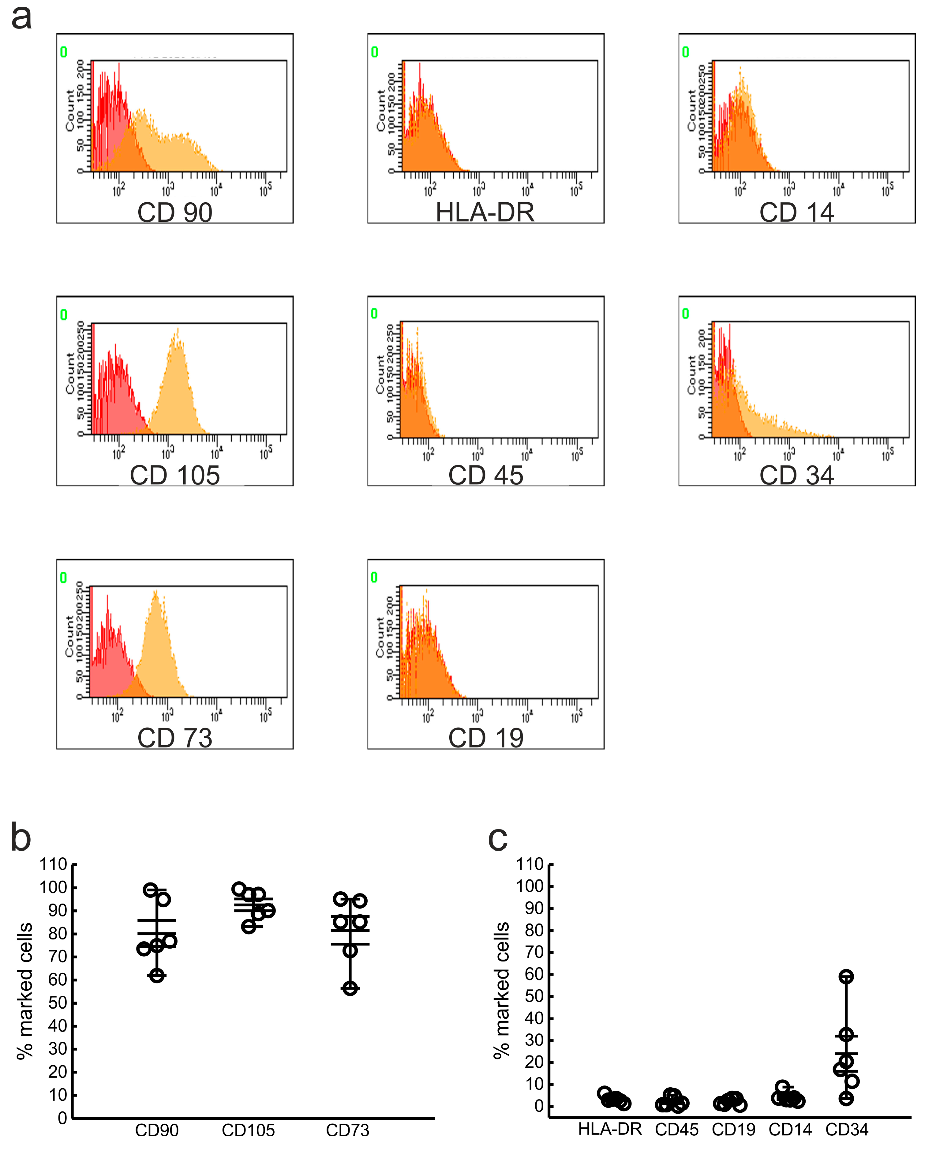 Biomedicines 11 01006 g003
