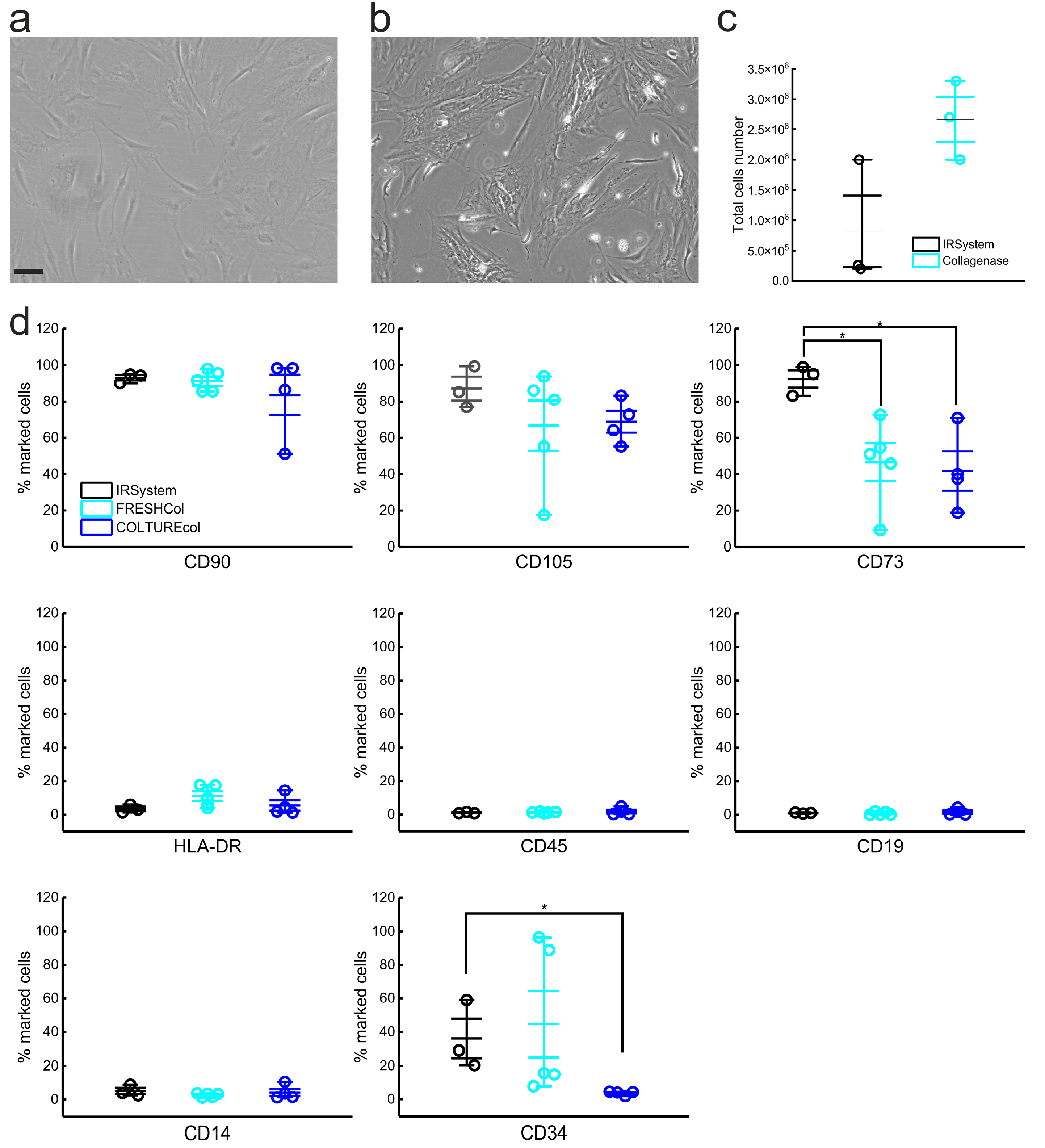 Biomedicines 11 01006 g005