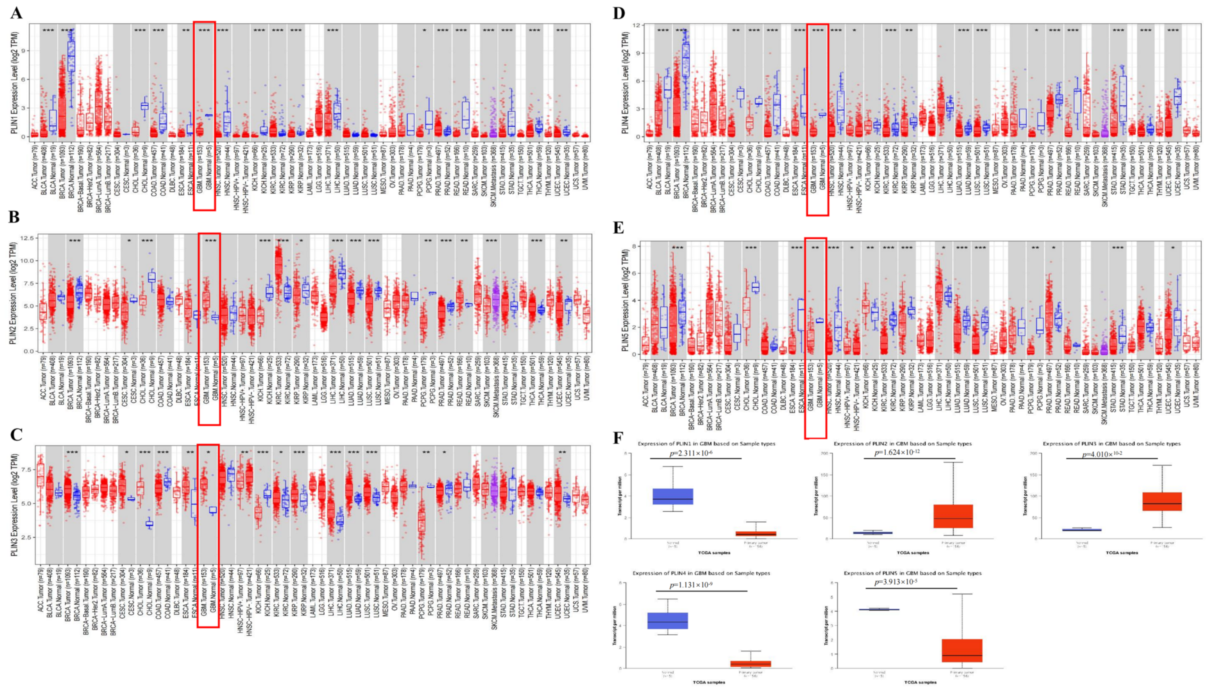 Biomedicines 11 01009 g001