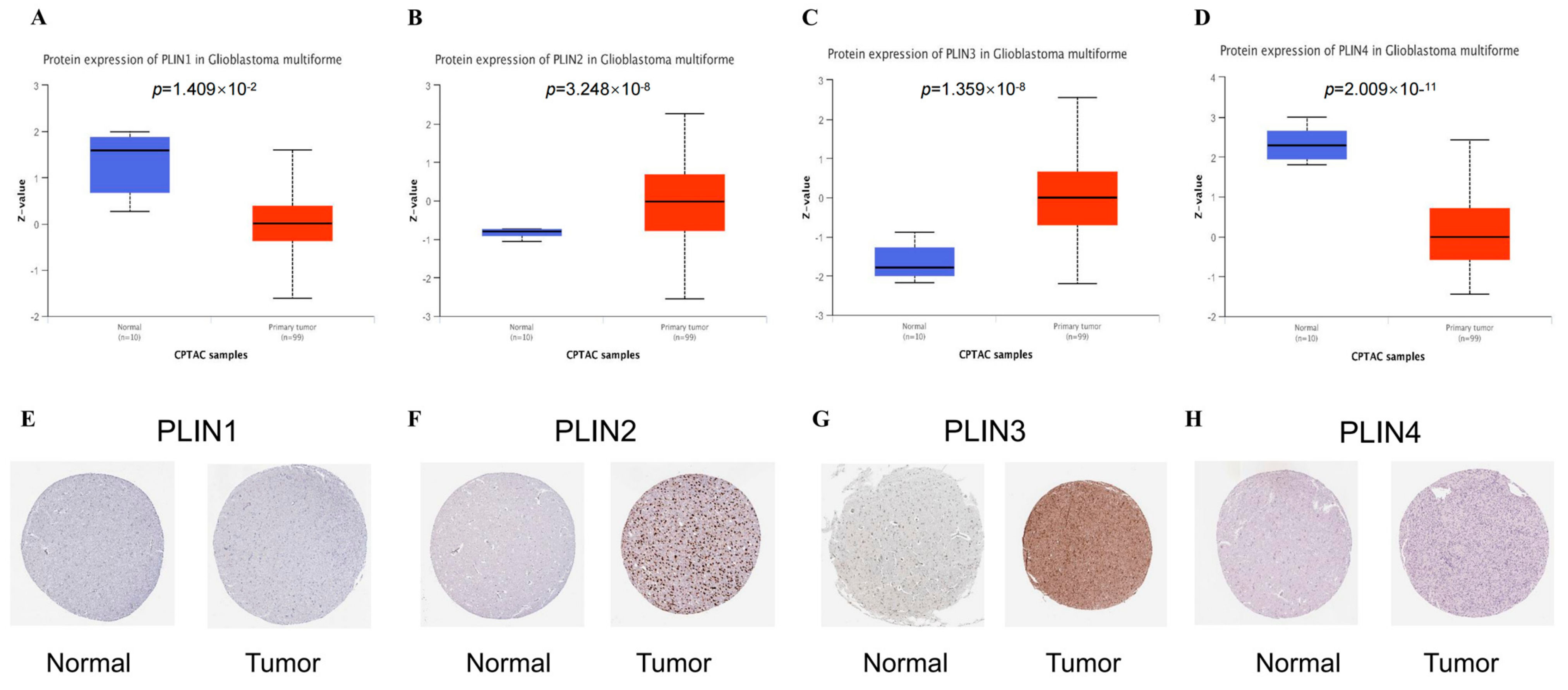 Biomedicines 11 01009 g002