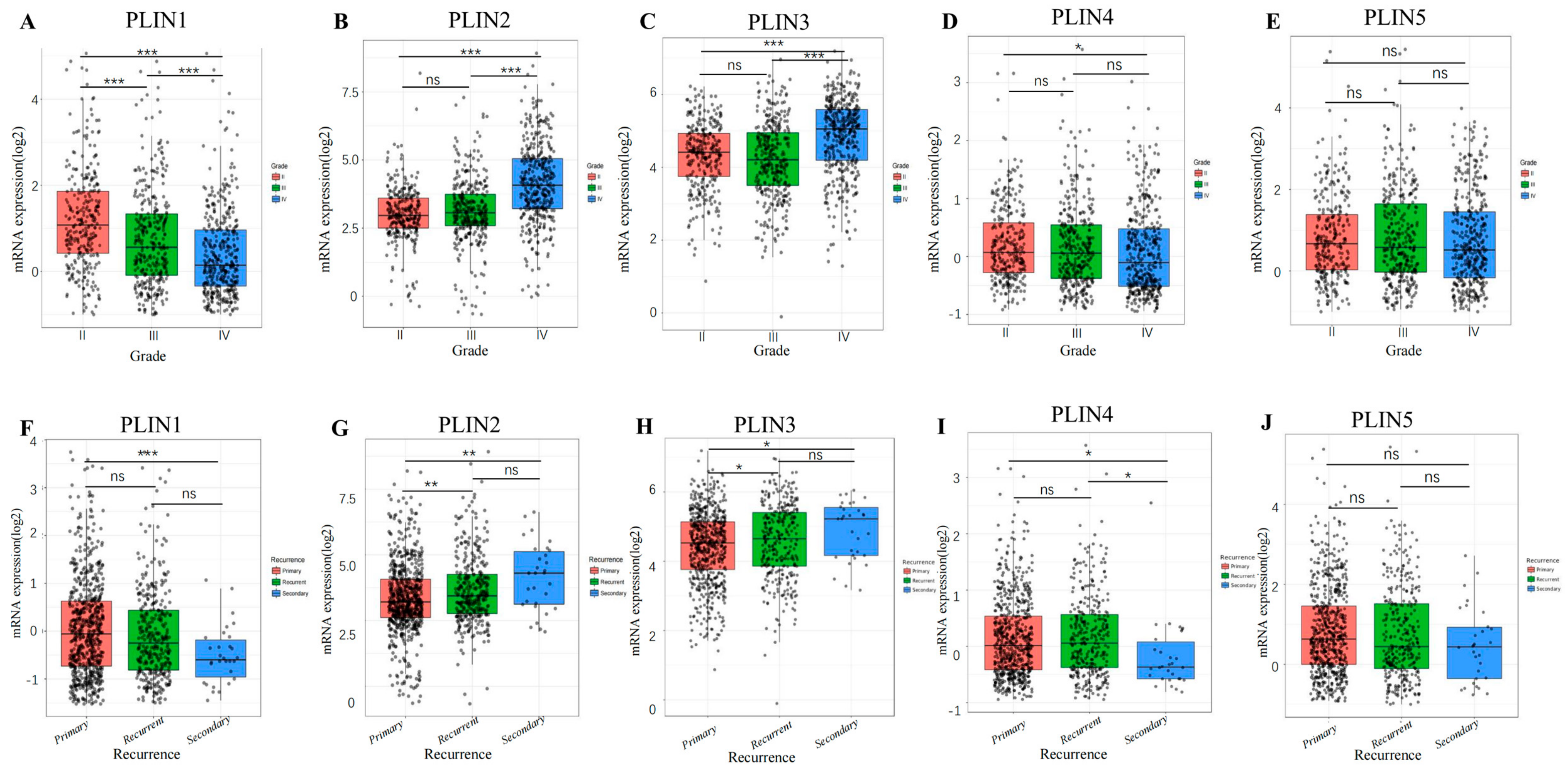 Biomedicines 11 01009 g003