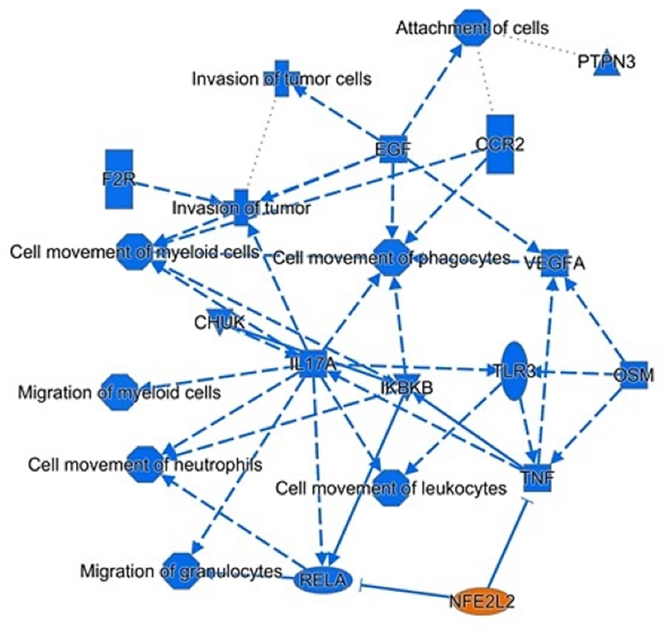 Biomedicines 11 01010 g003