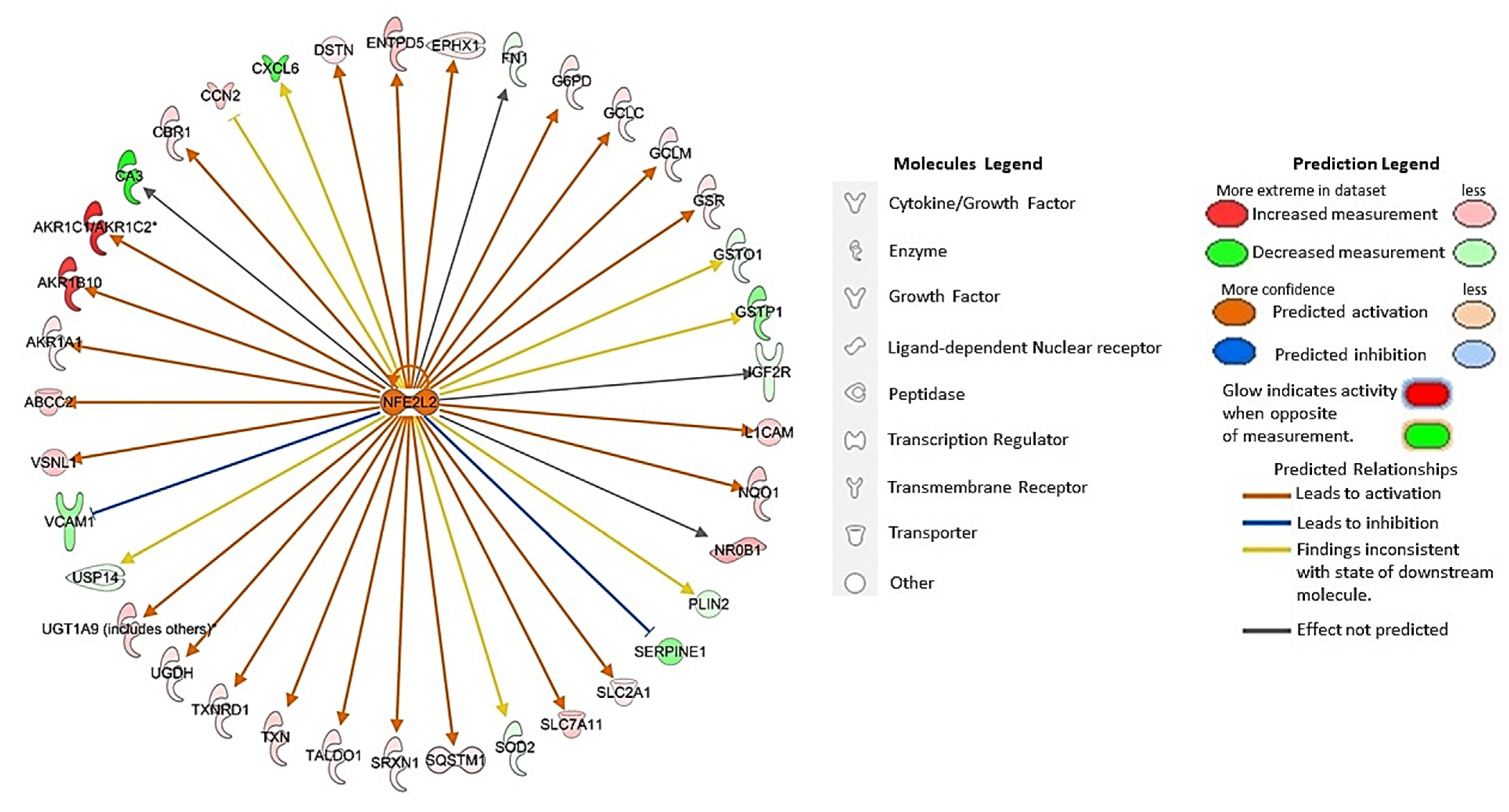 Biomedicines 11 01010 g004