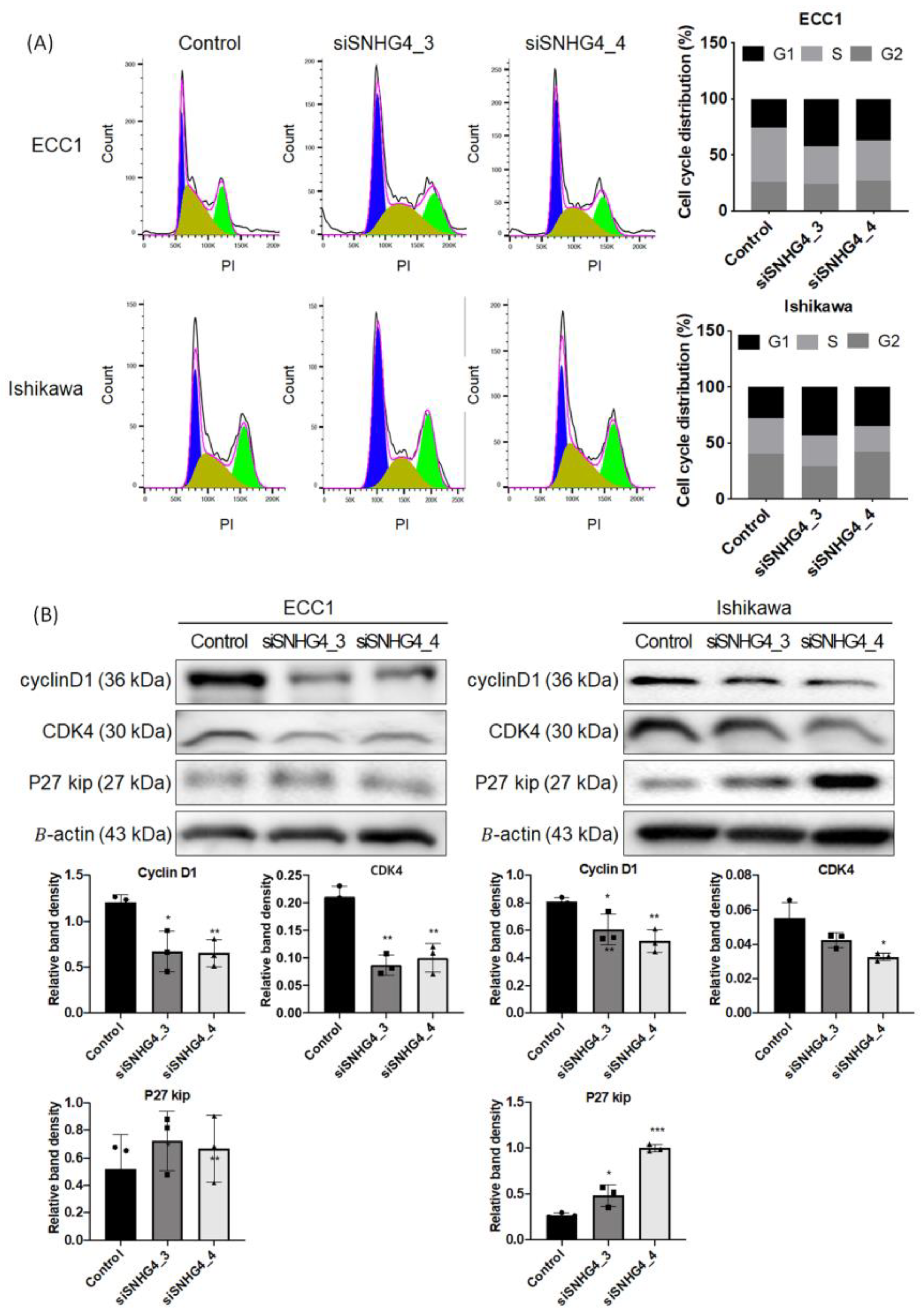Biomedicines 11 01018 g003 Biomedicines 11 01018 g003