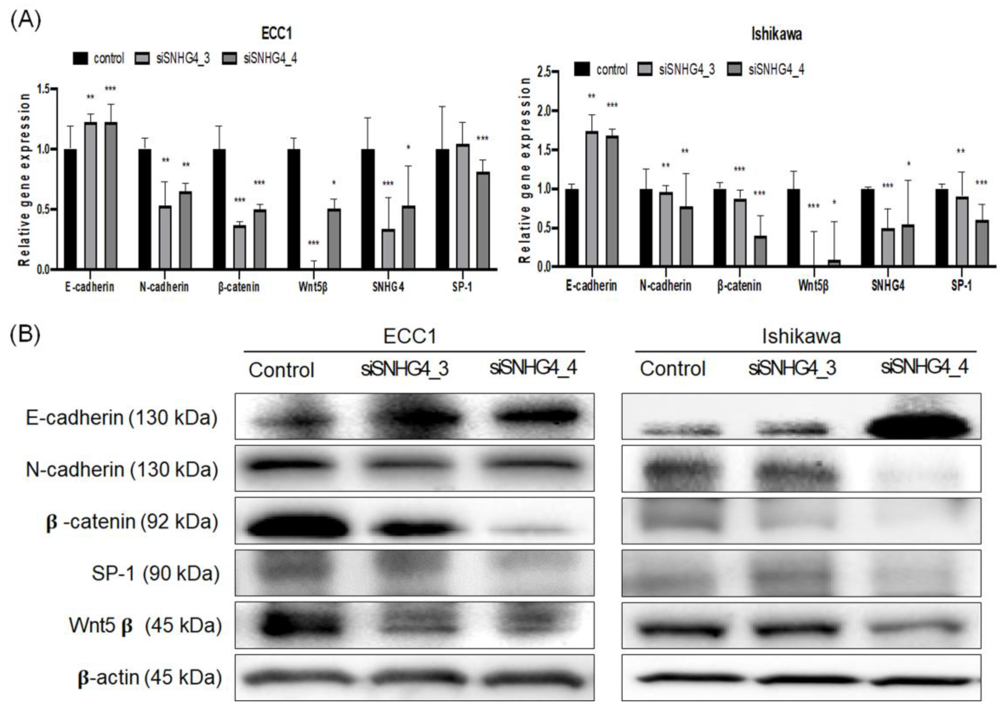 Biomedicines 11 01018 g005 Biomedicines 11 01018 g005
