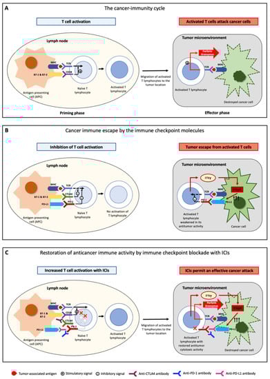 Biomedicines 11 01020 g001