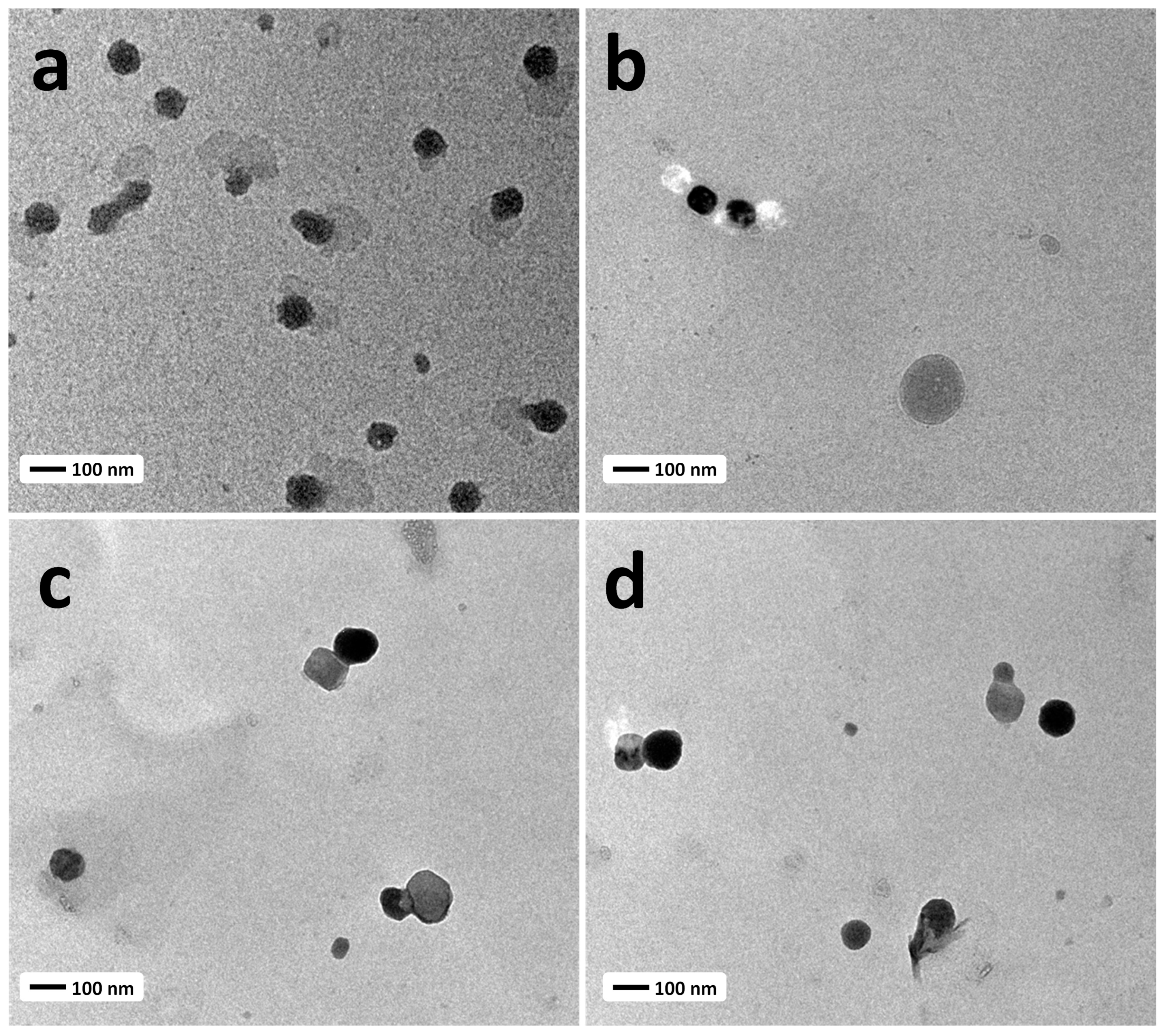 Biomedicines 11 01021 g002 Biomedicines 11 01021 g002