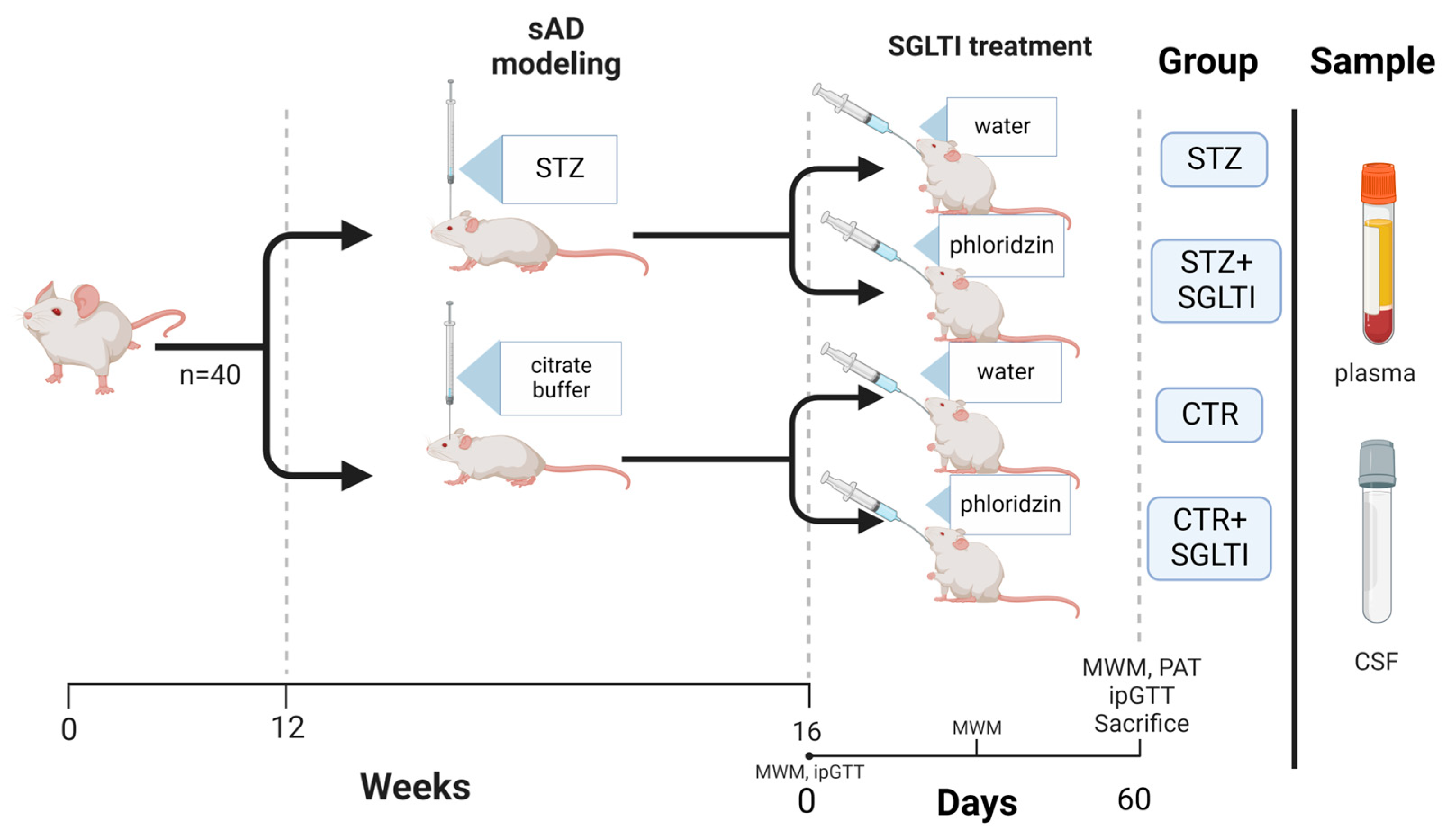Biomedicines 11 01025 g001 Biomedicines 11 01025 g001