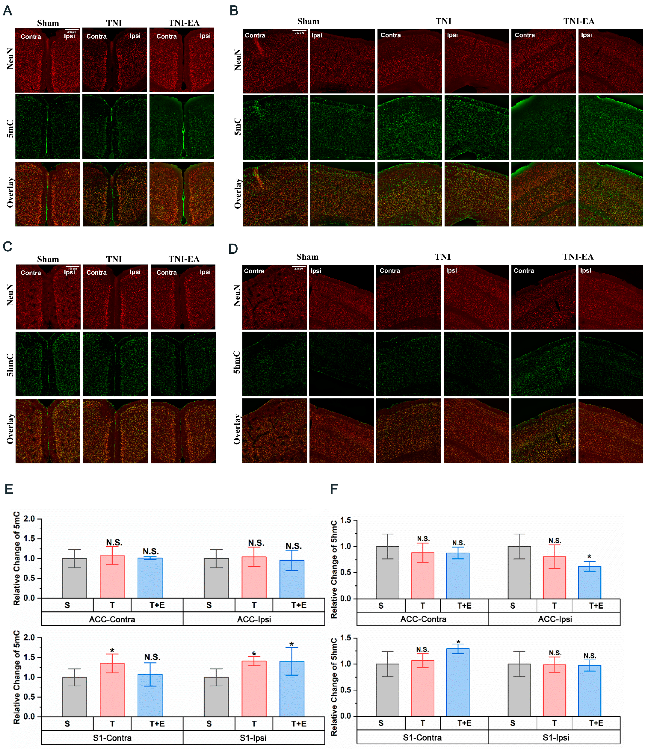 Biomedicines 11 01030 g002