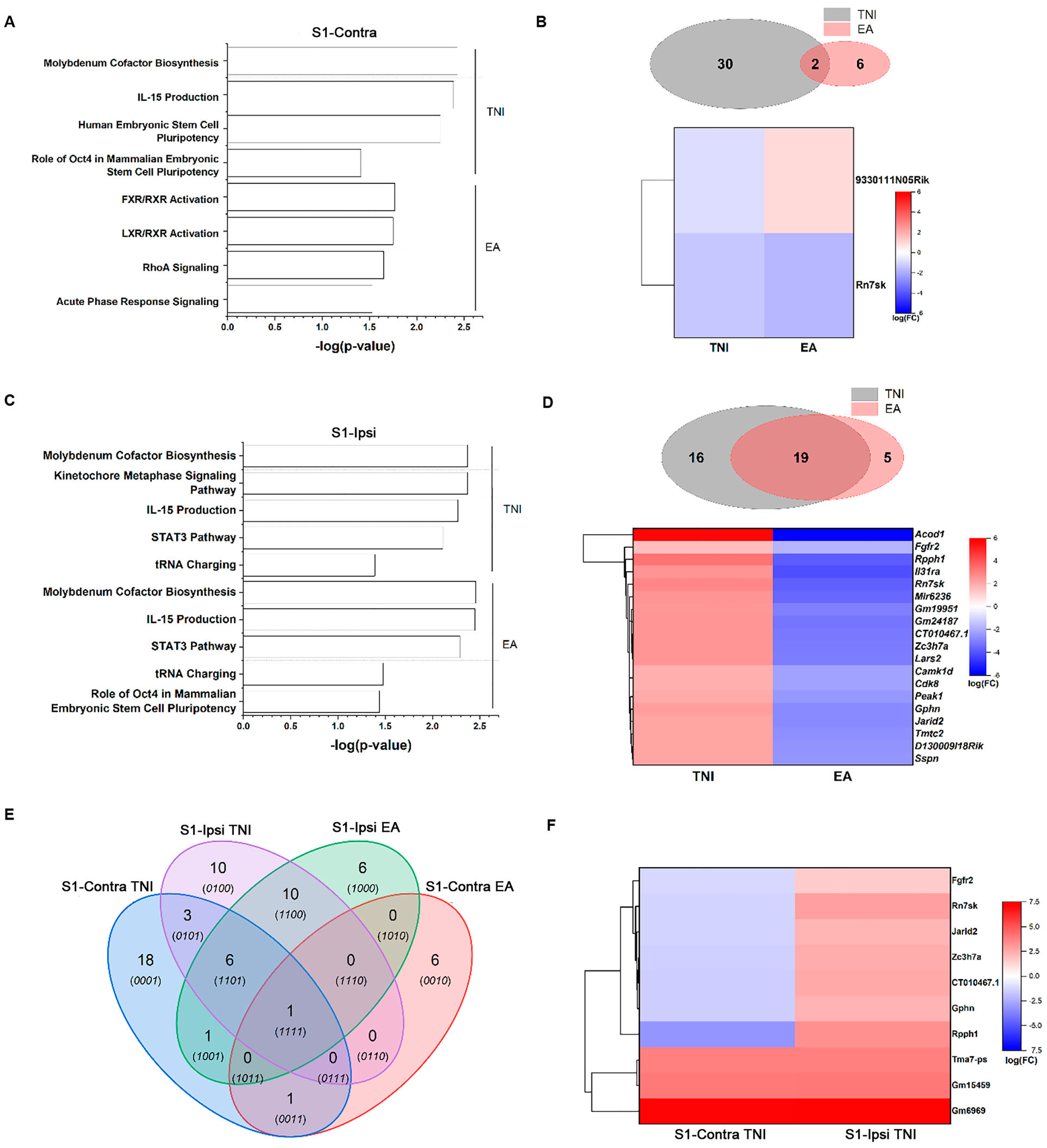 Biomedicines 11 01030 g003