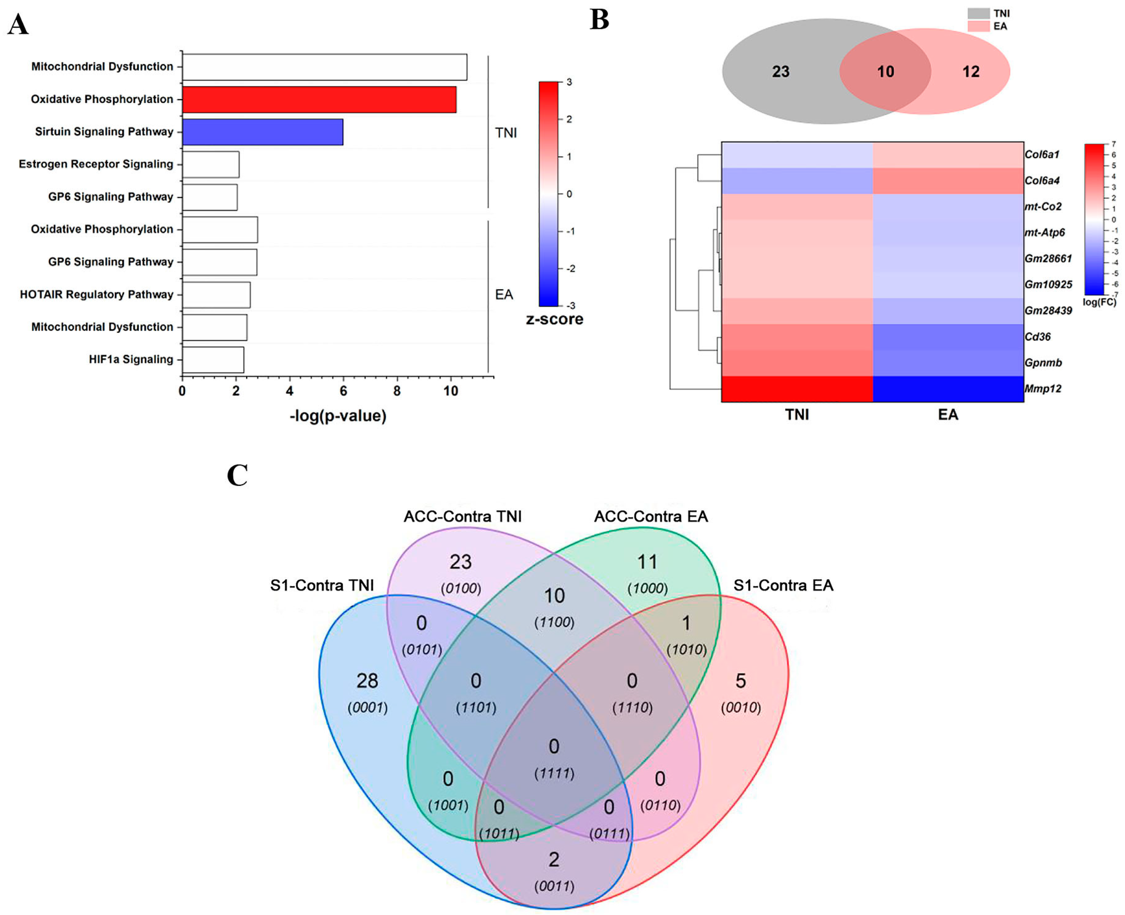 Biomedicines 11 01030 g004