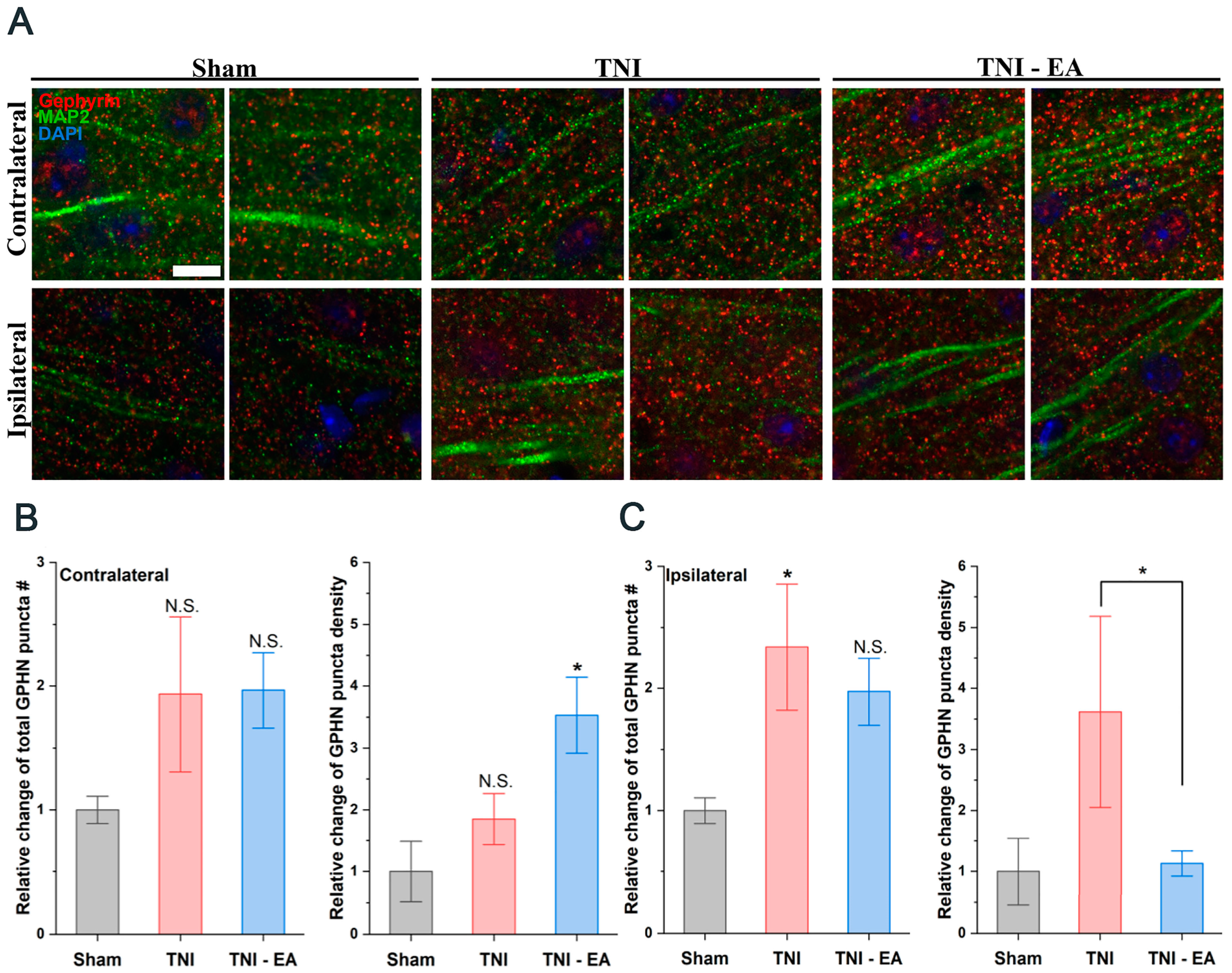 Biomedicines 11 01030 g005