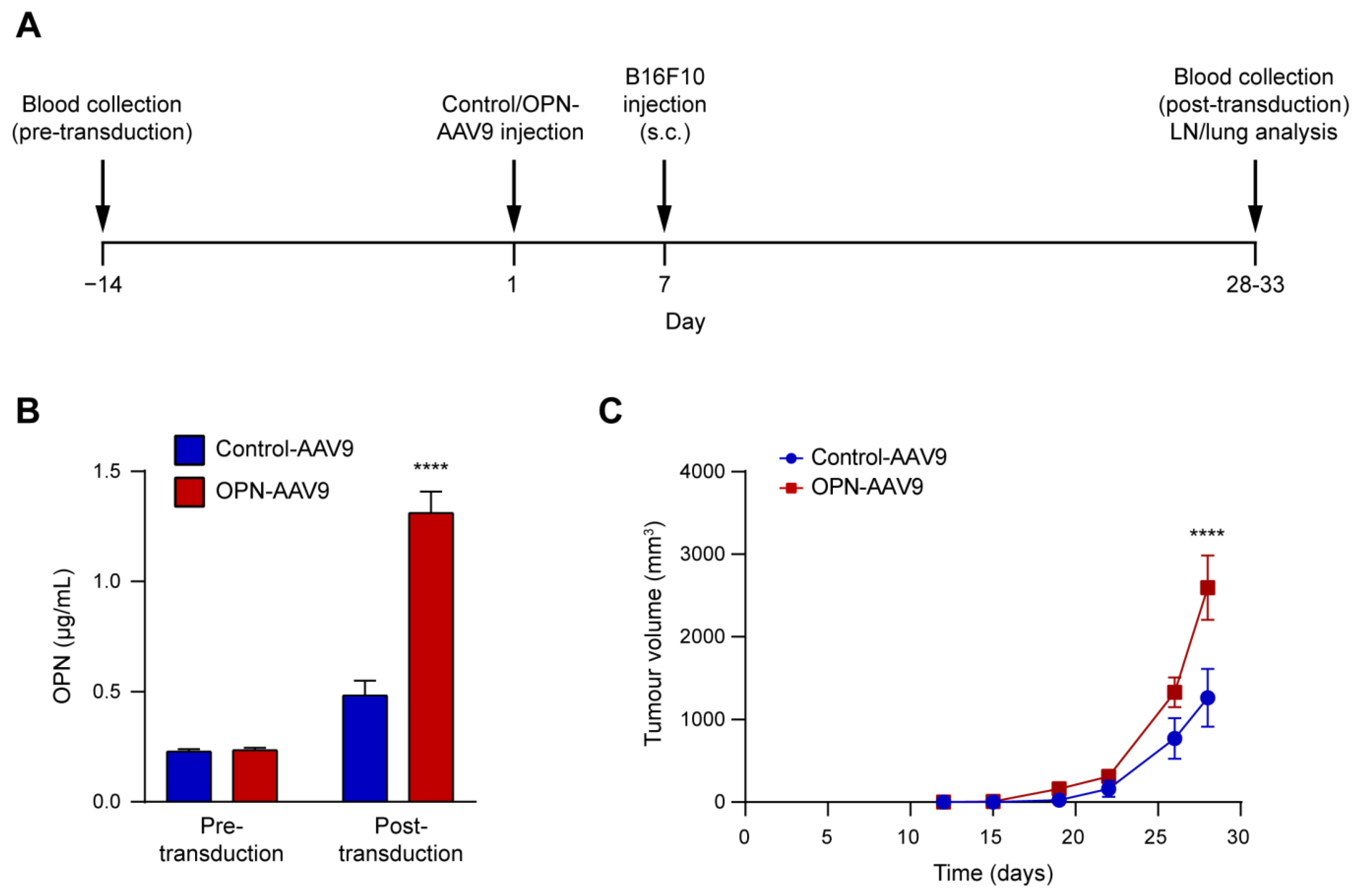 Biomedicines 11 01038 g004