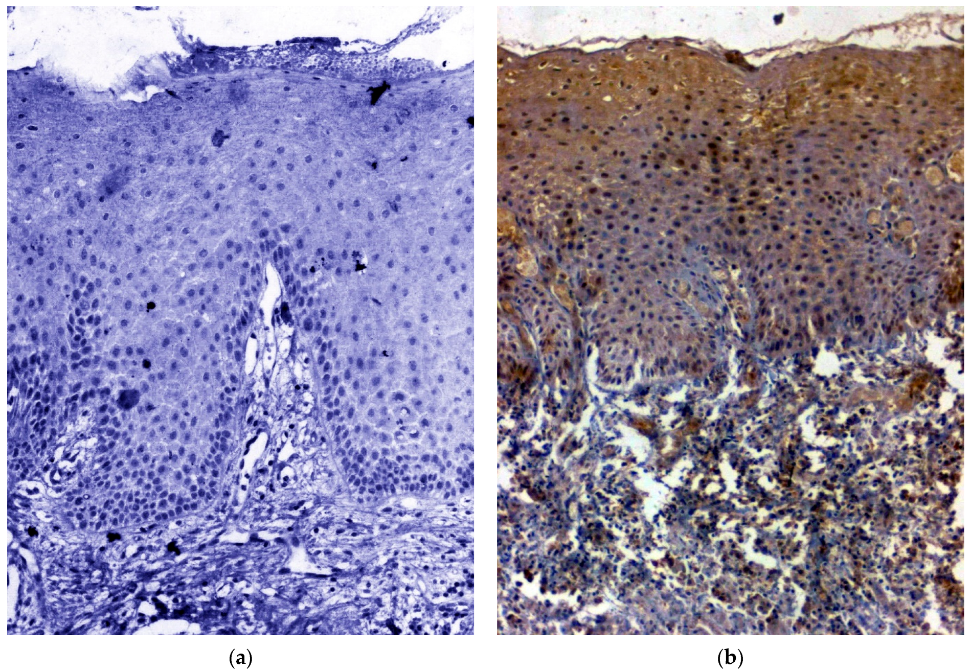 Biomedicines 11 01040 g001a