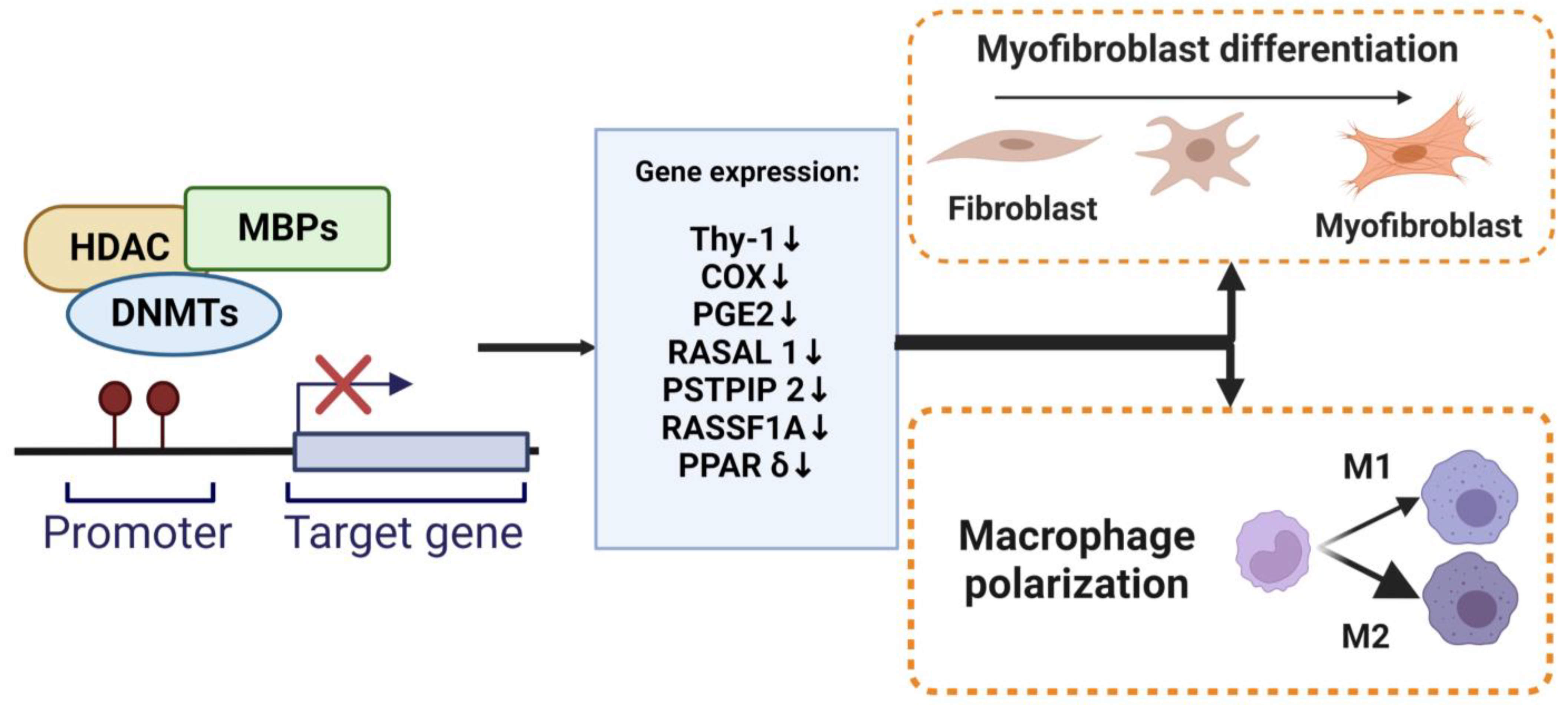 Biomedicines 11 01047 g003