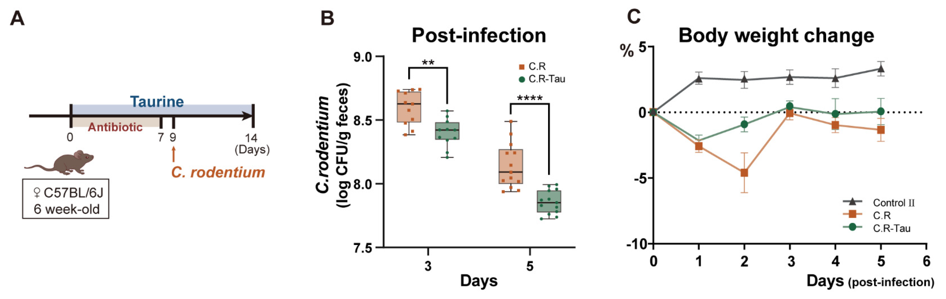Biomedicines 11 01048 g007