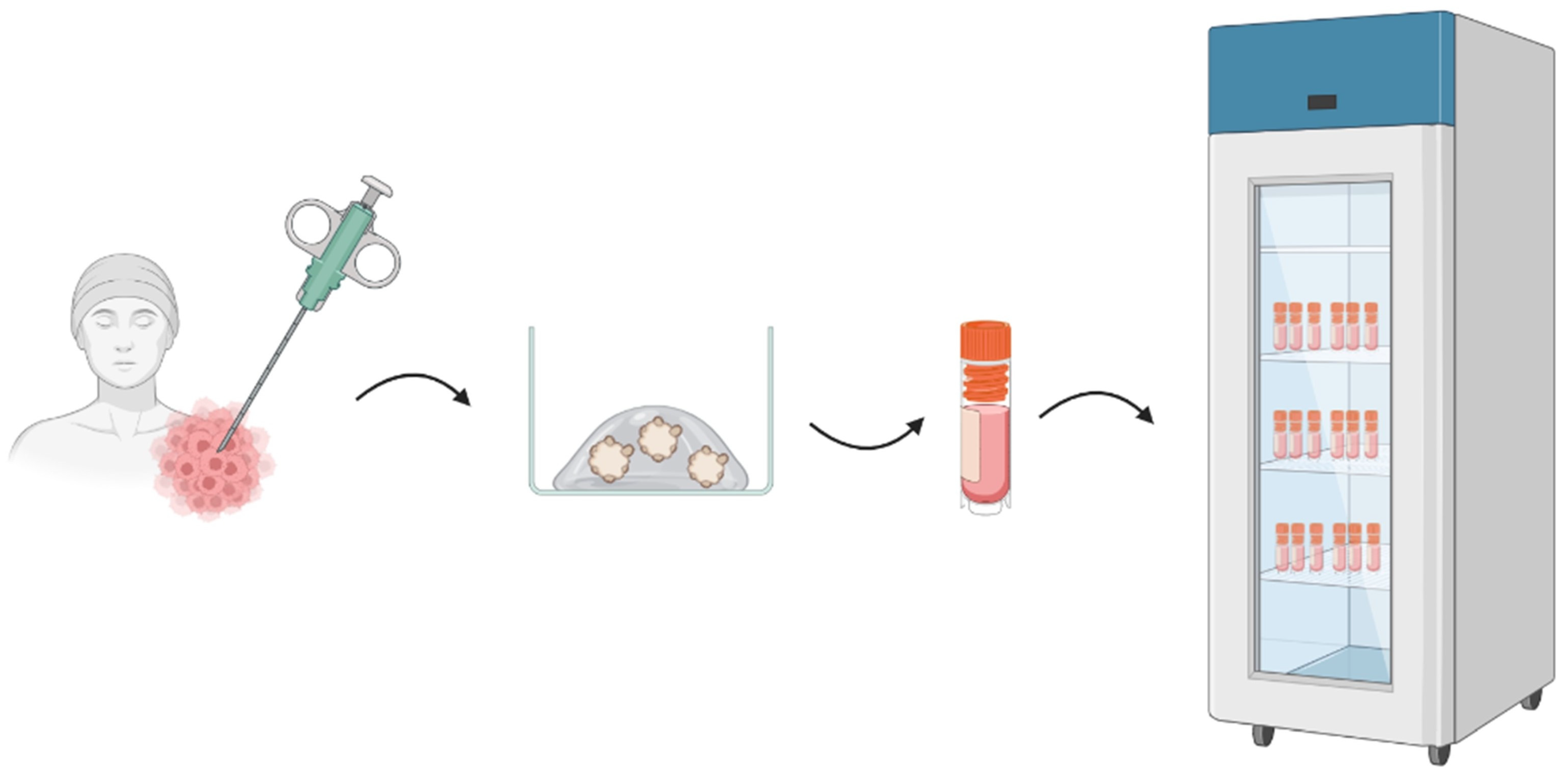 Biomedicines 11 01058 g002