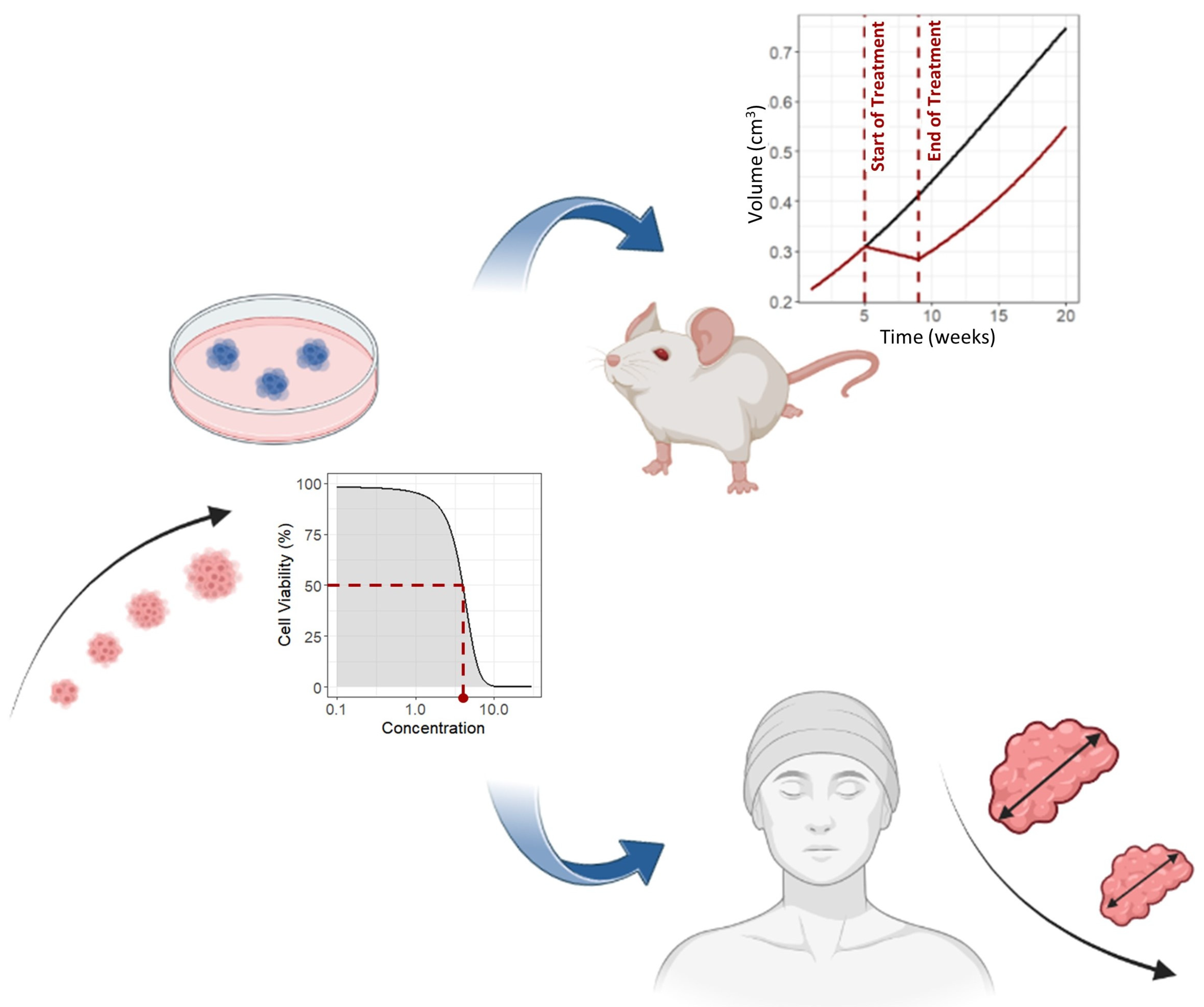 Biomedicines 11 01058 g004