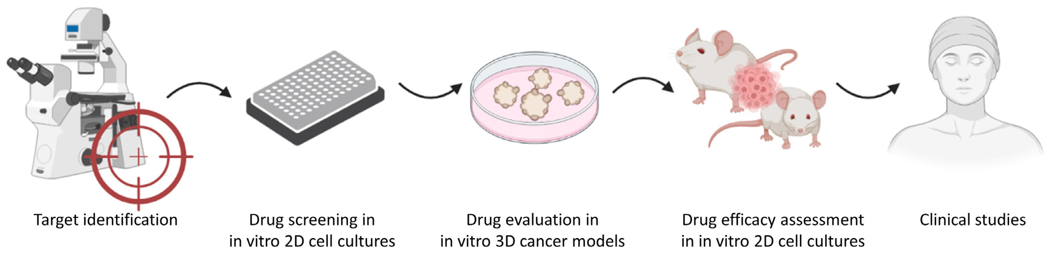 Biomedicines 11 01058 g005