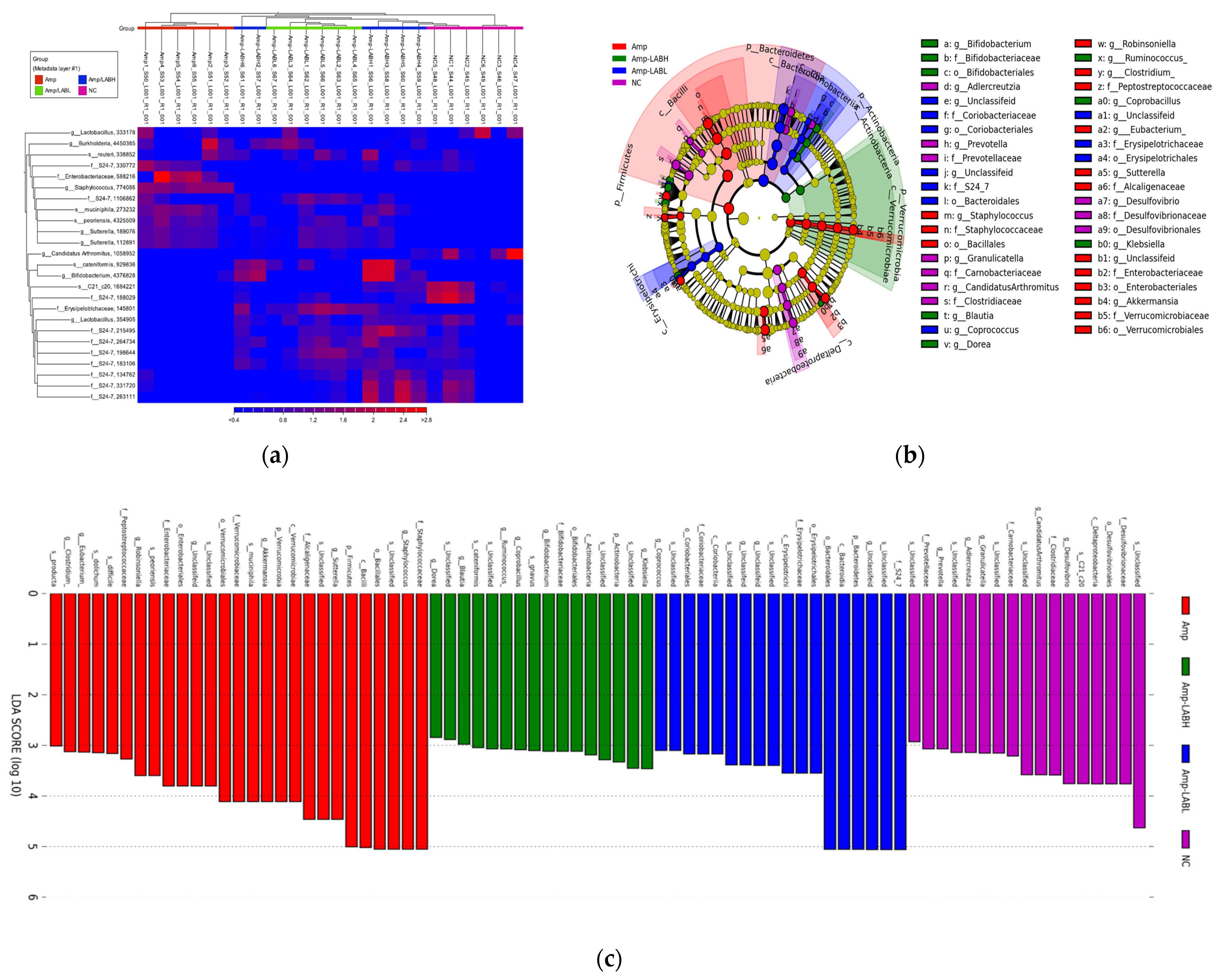 Biomedicines 11 01068 g004a Biomedicines 11 01068 g004a