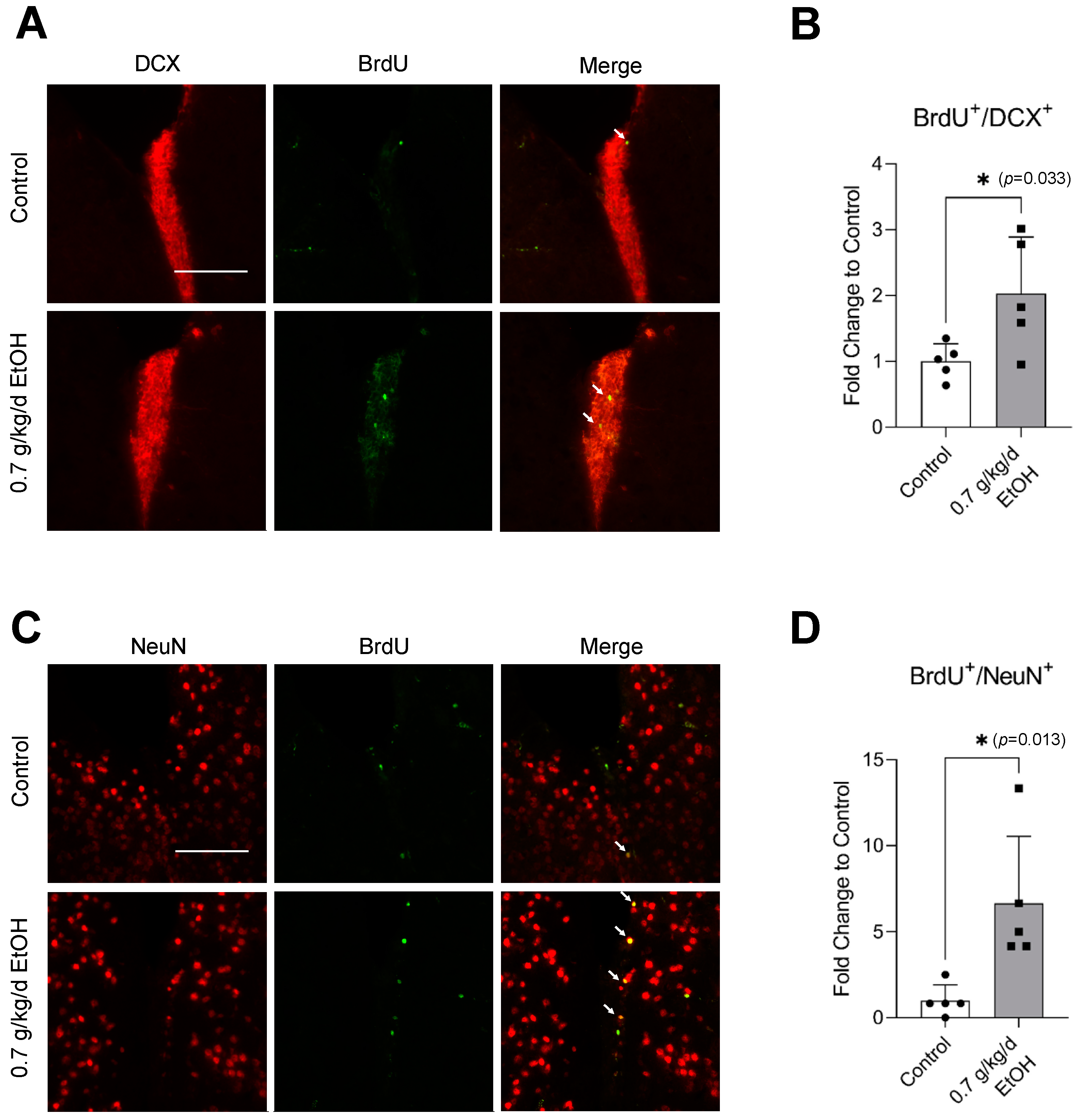 Biomedicines 11 01074 g001