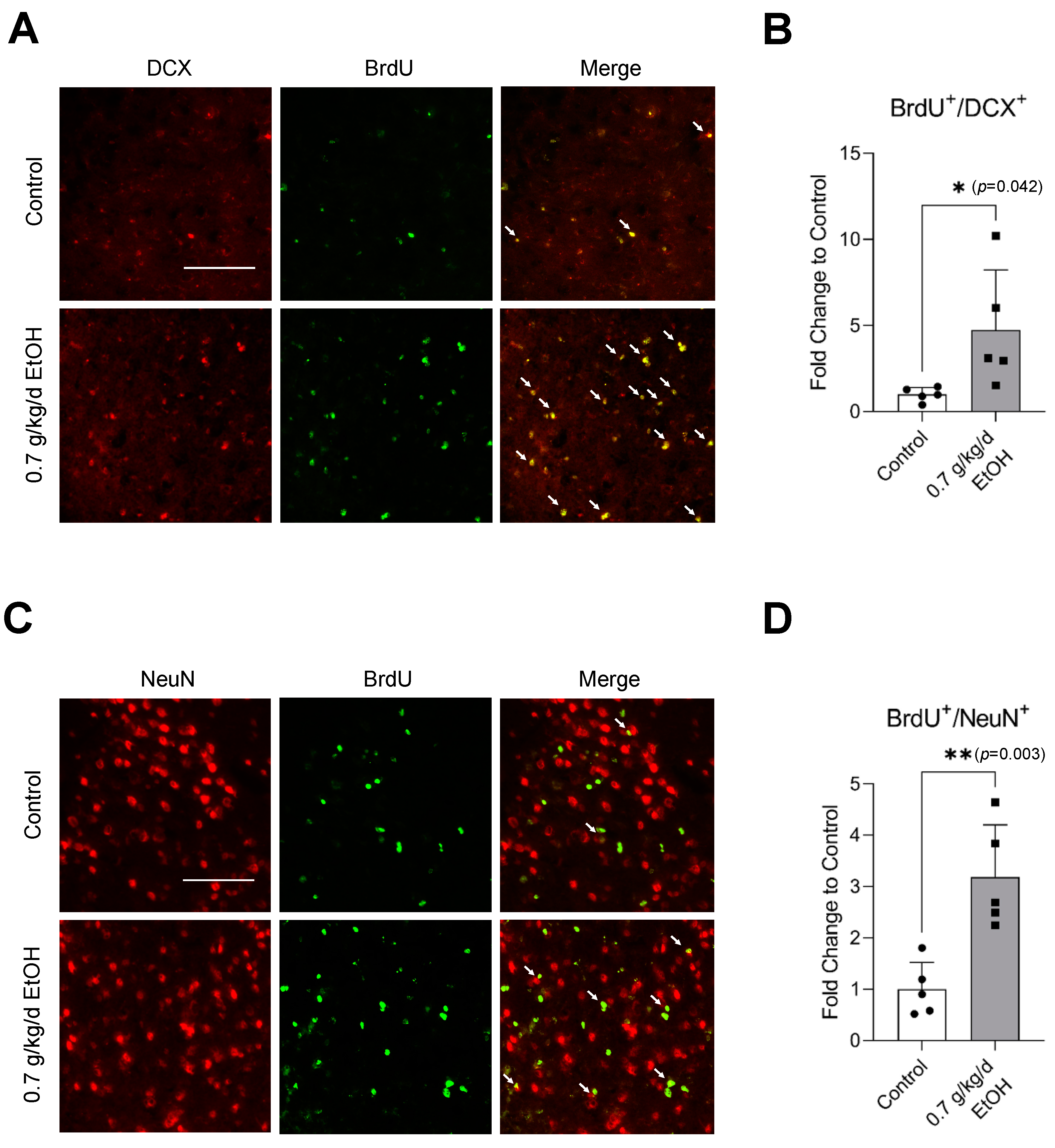 Biomedicines 11 01074 g006