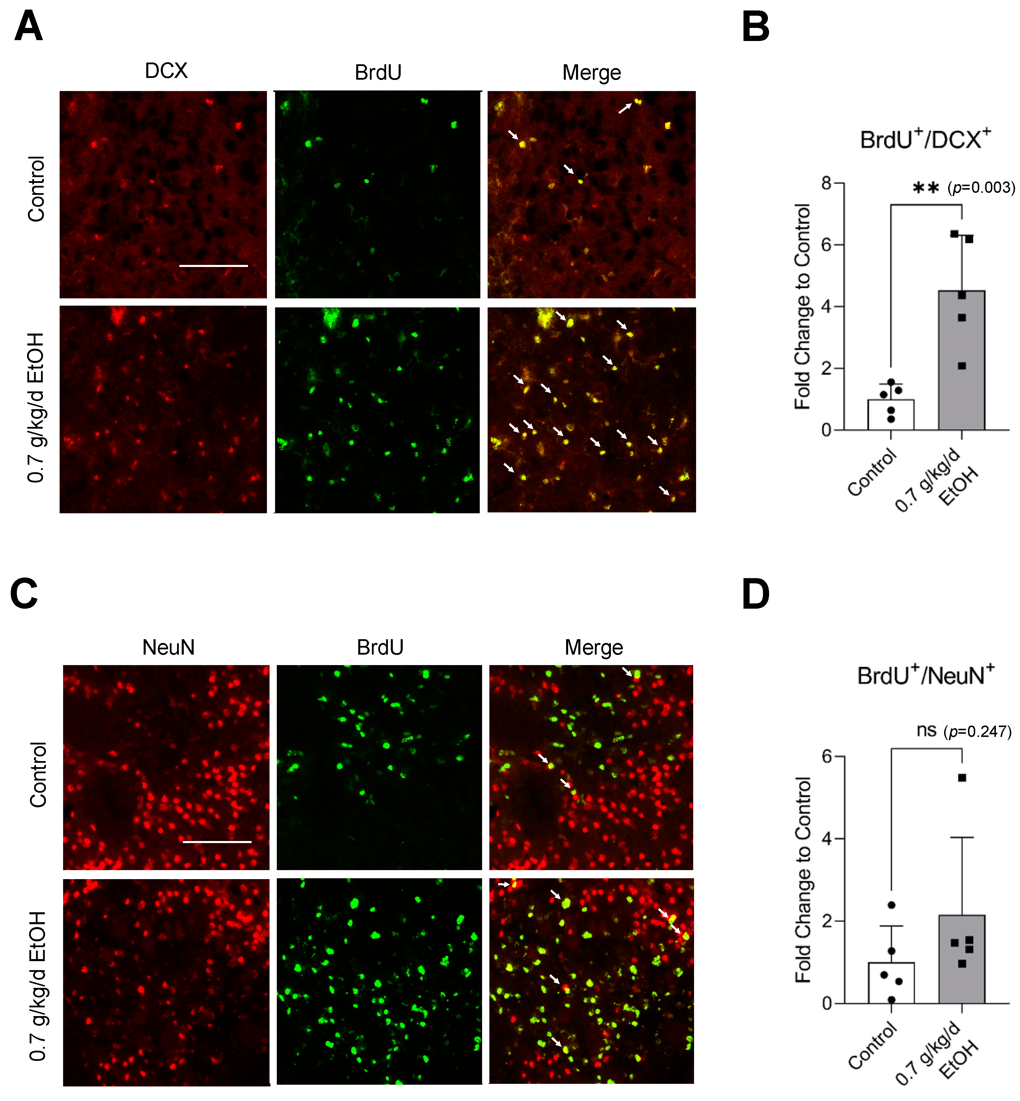 Biomedicines 11 01074 g007