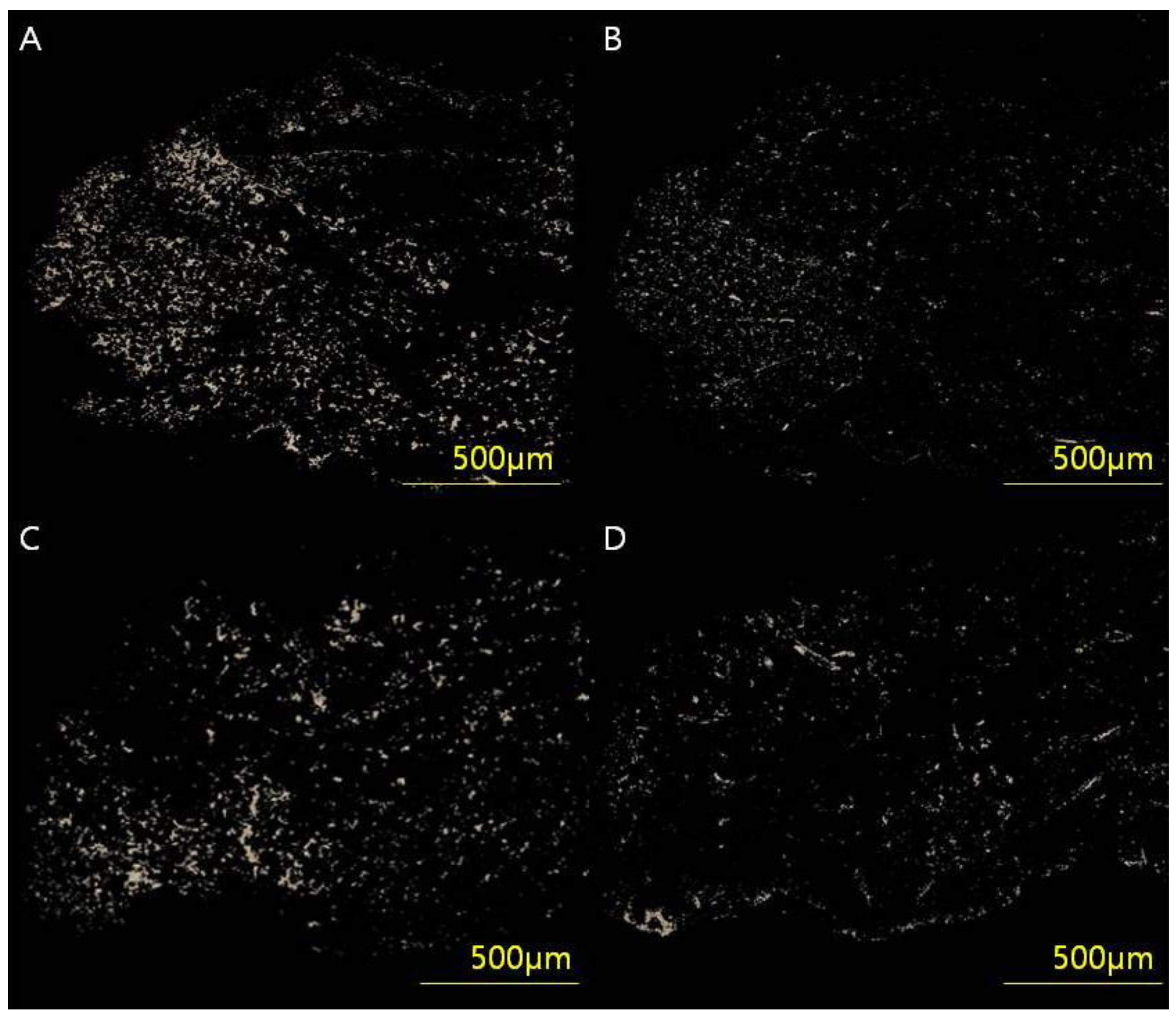 Biomedicines 11 01089 g003 Biomedicines 11 01089 g003