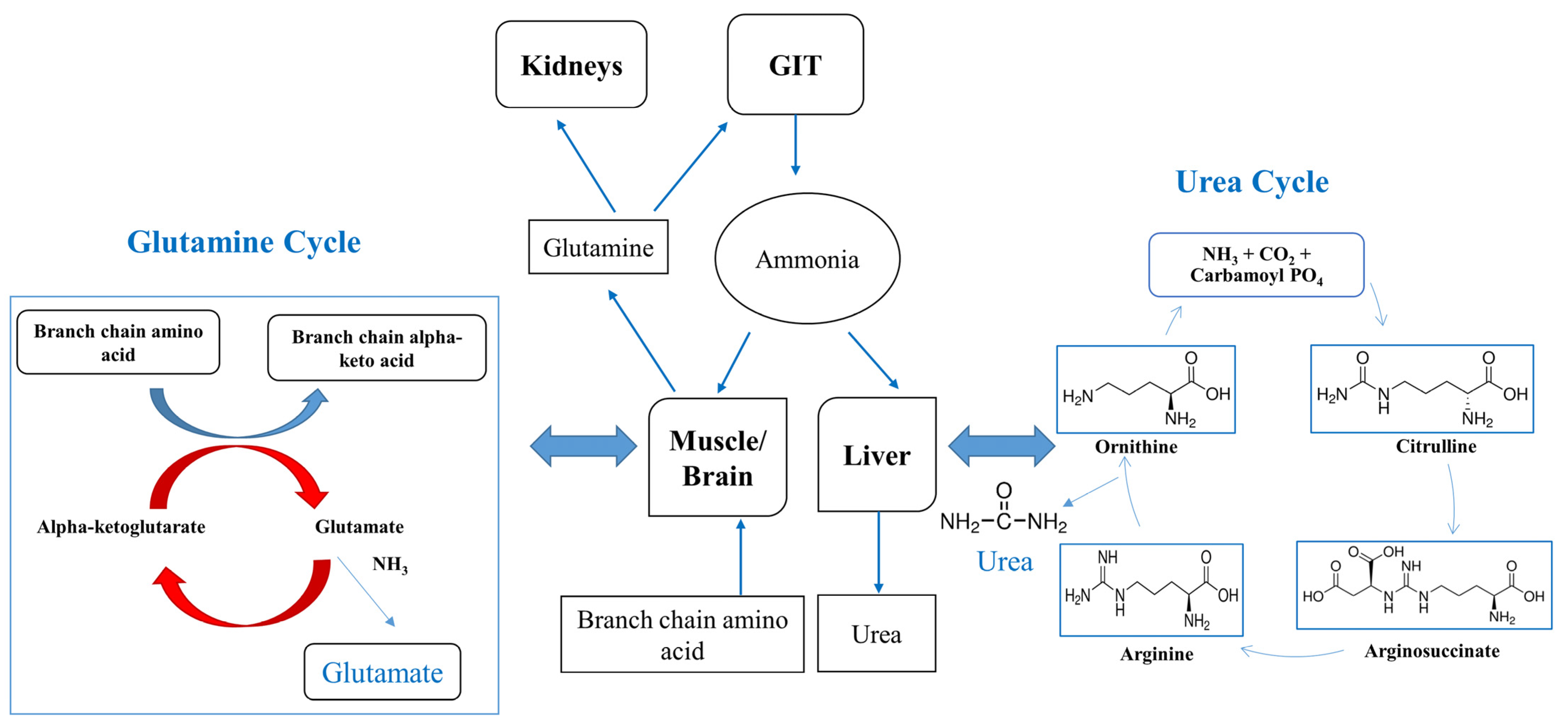 Biomedicines 11 01094 g001 Biomedicines 11 01094 g001