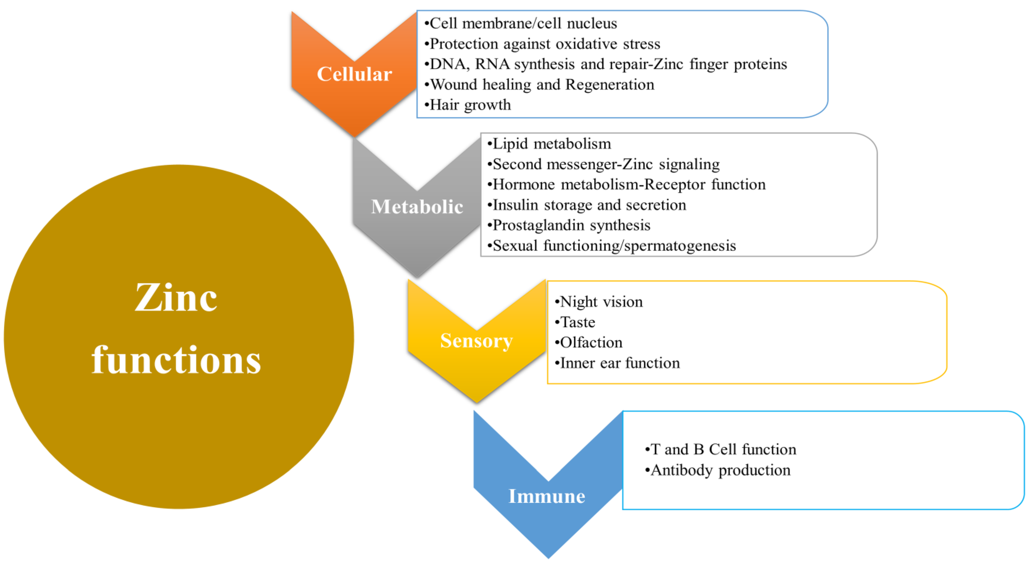 Biomedicines 11 01094 g002 Biomedicines 11 01094 g002