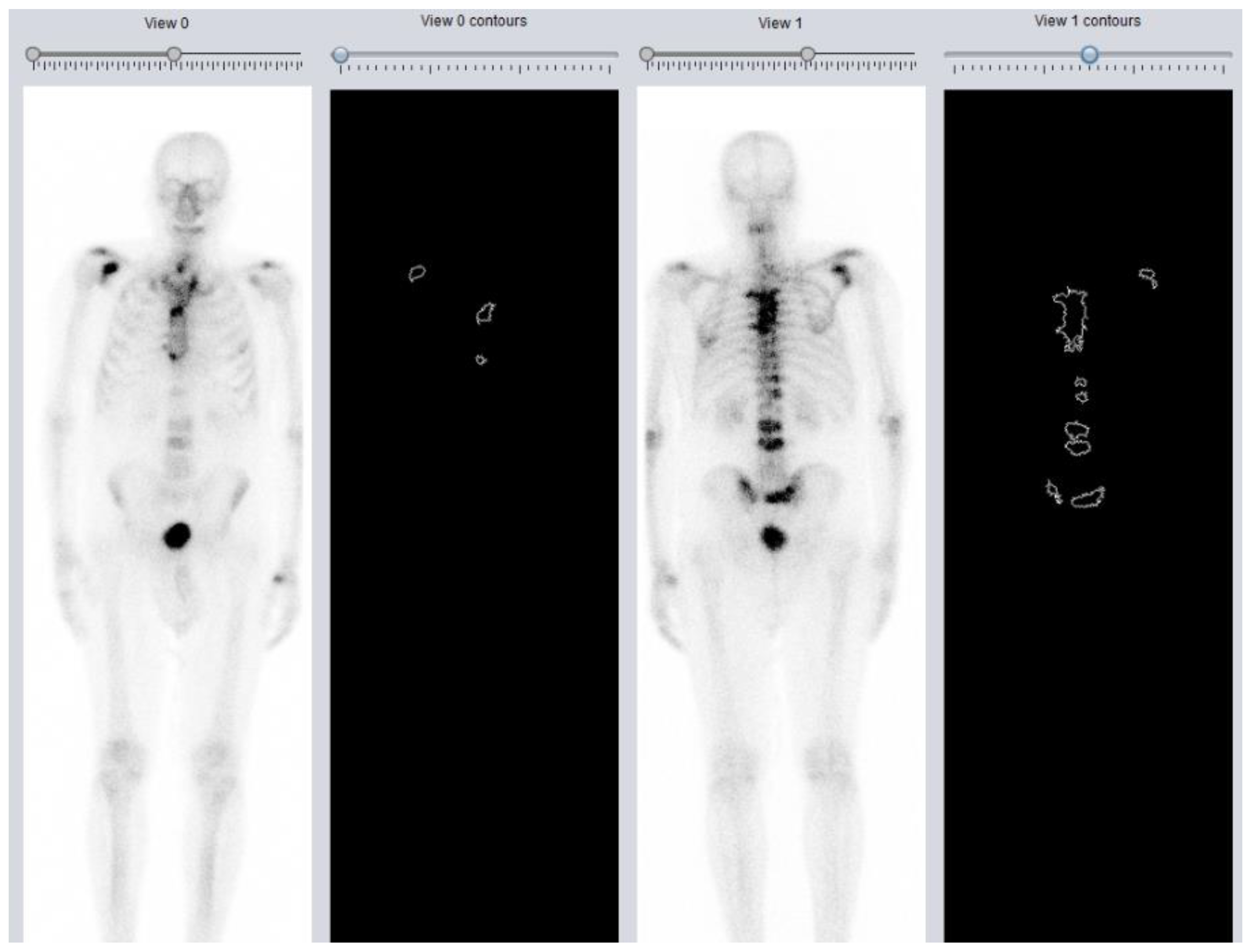 Biomedicines 11 01103 g001