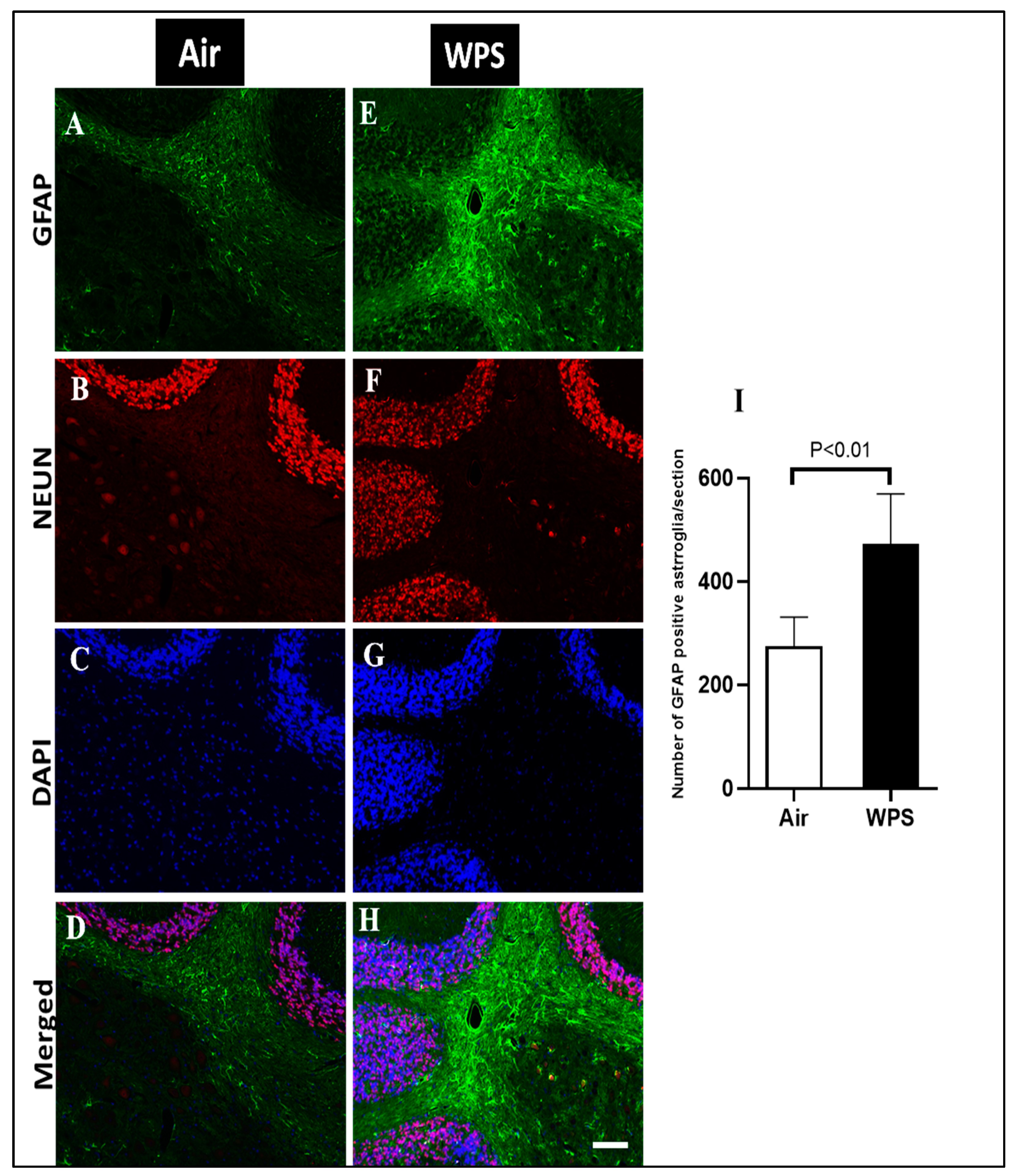 Biomedicines 11 01104 g008 Biomedicines 11 01104 g008
