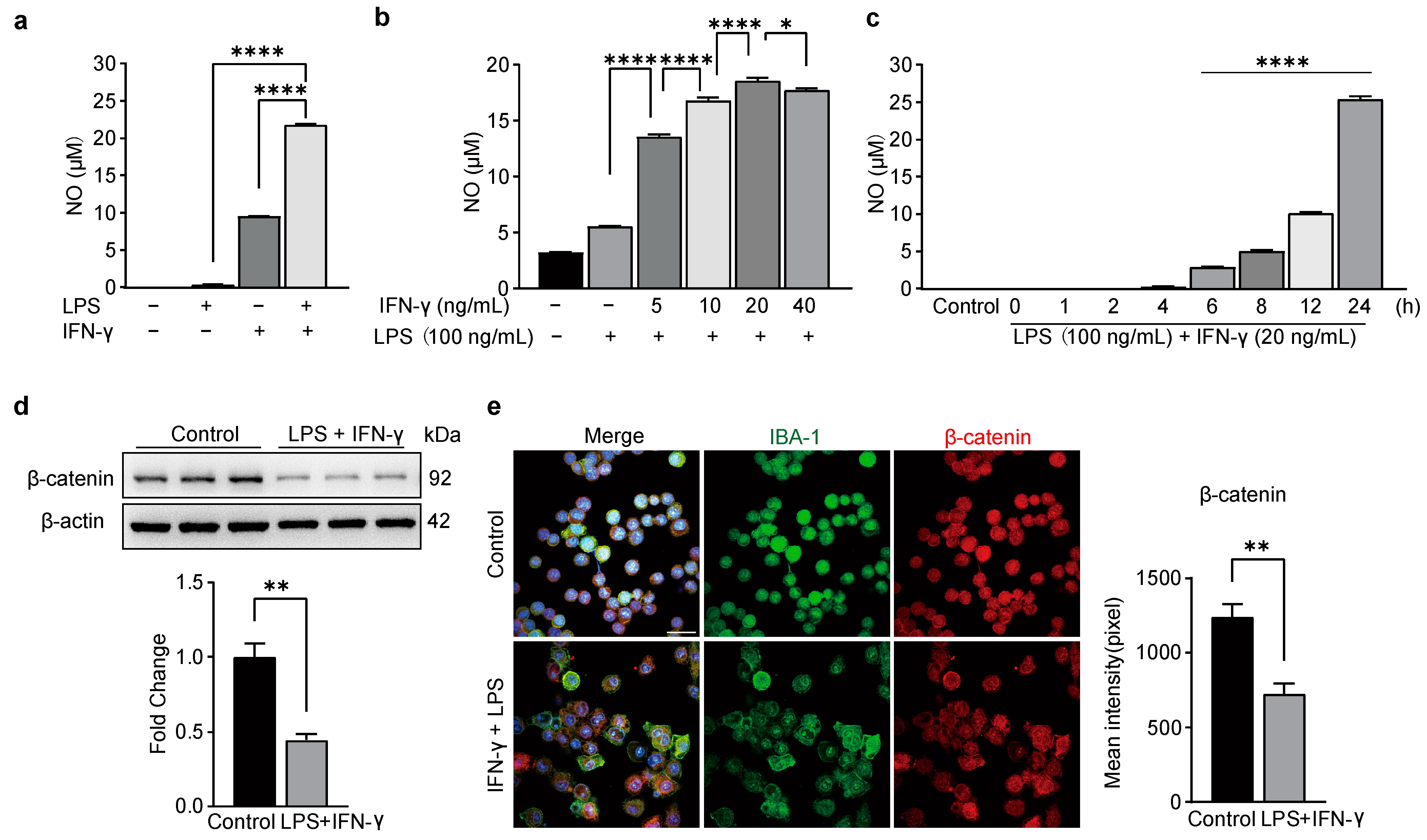 Biomedicines 11 01121 g001