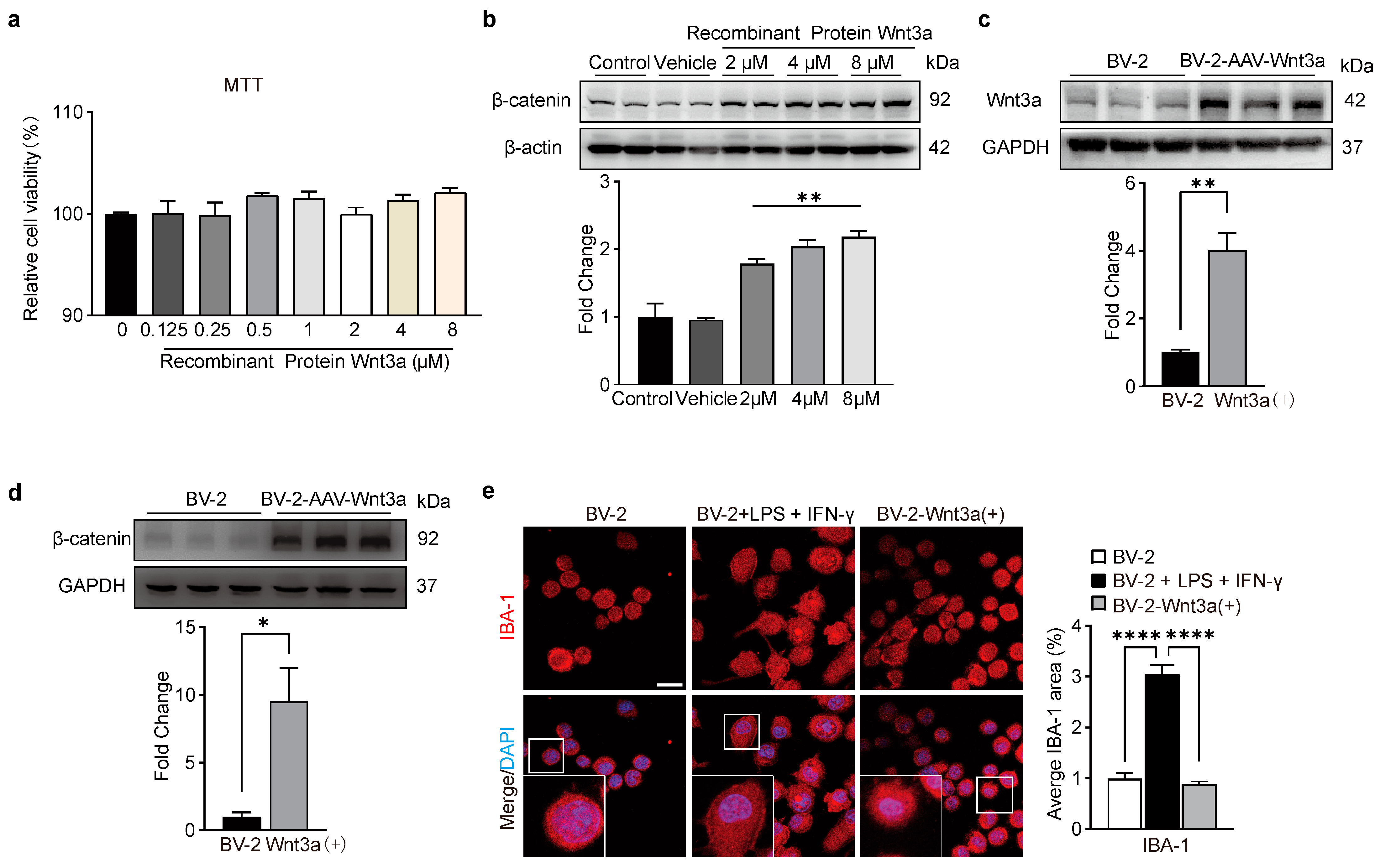 Biomedicines 11 01121 g002