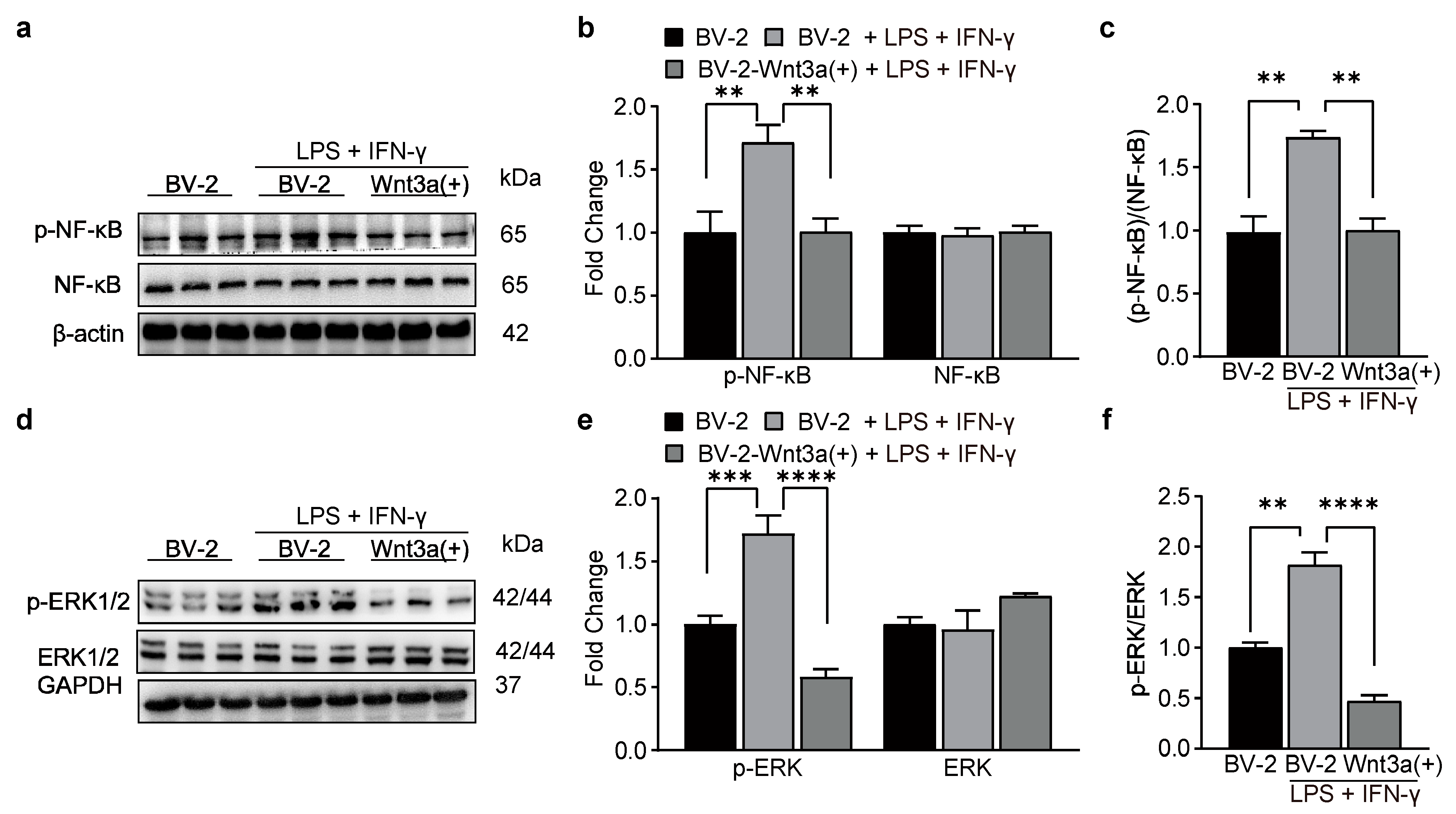 Biomedicines 11 01121 g005