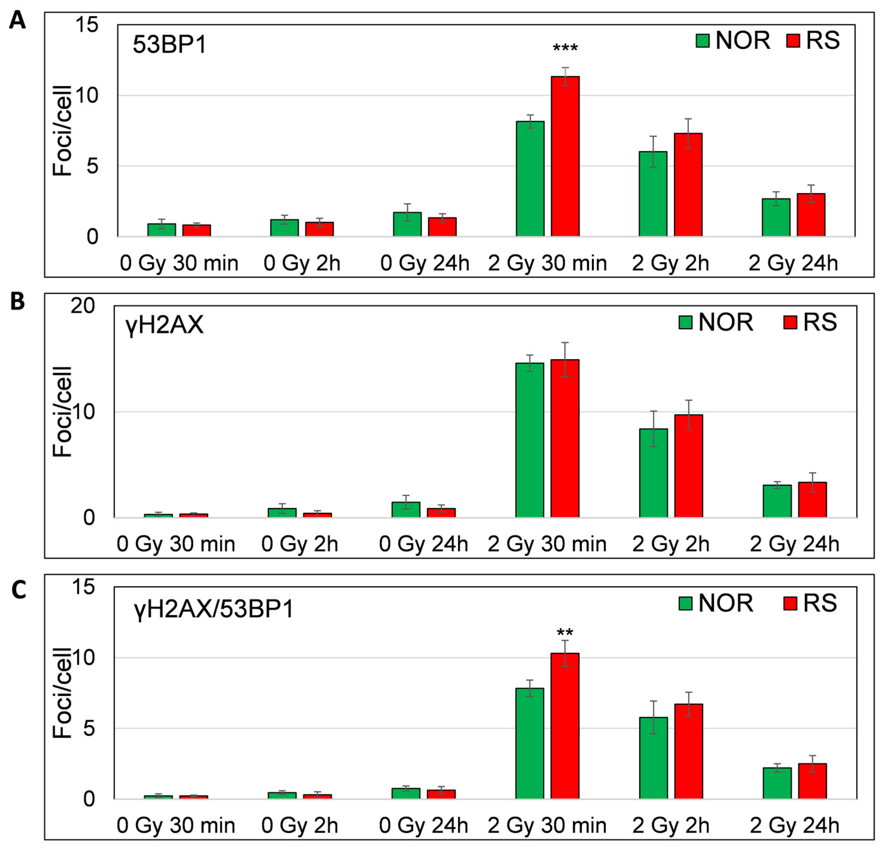 Biomedicines 11 01122 g007