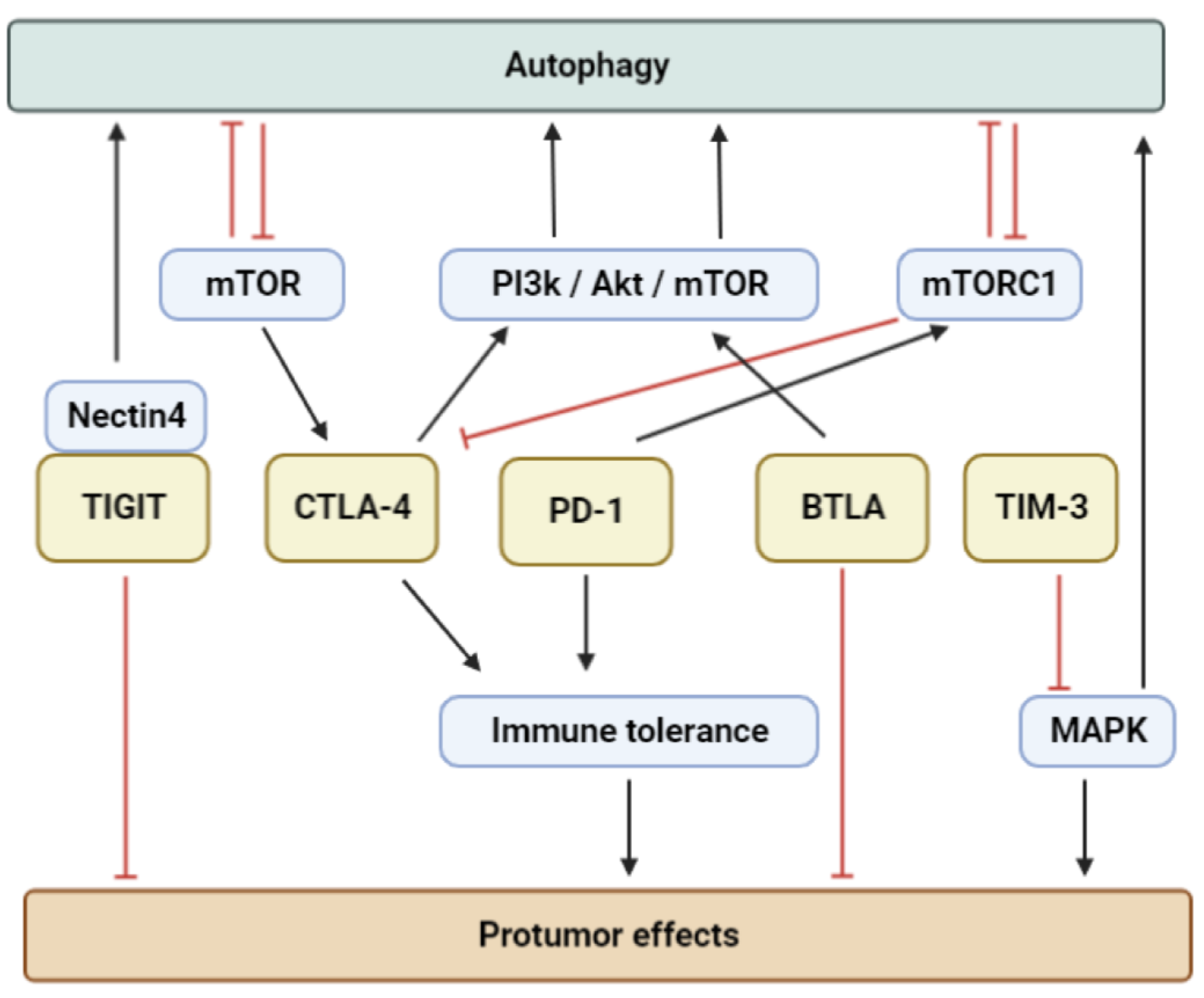 Biomedicines 11 01130 g002