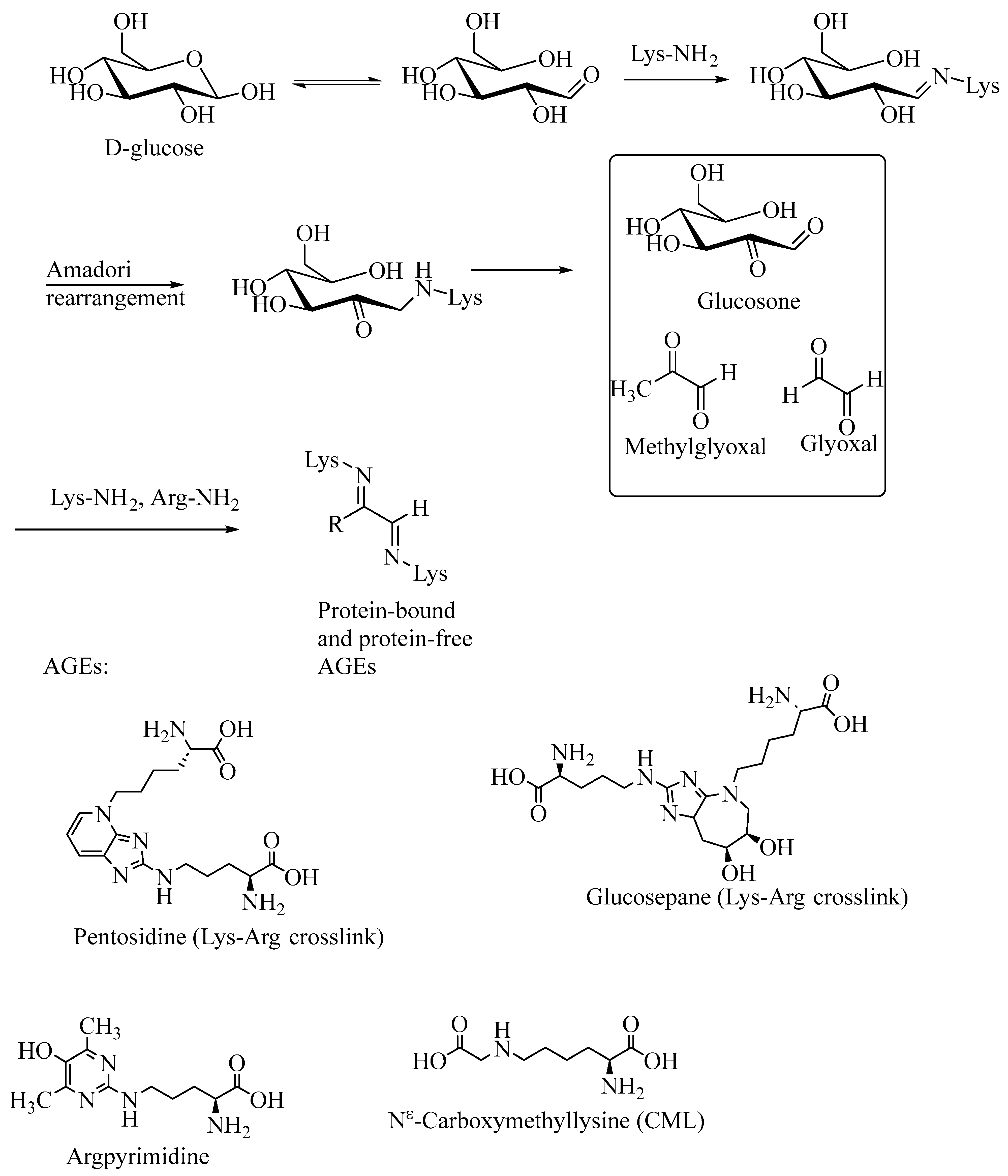 Biomedicines 11 01131 g001 Biomedicines 11 01131 g001