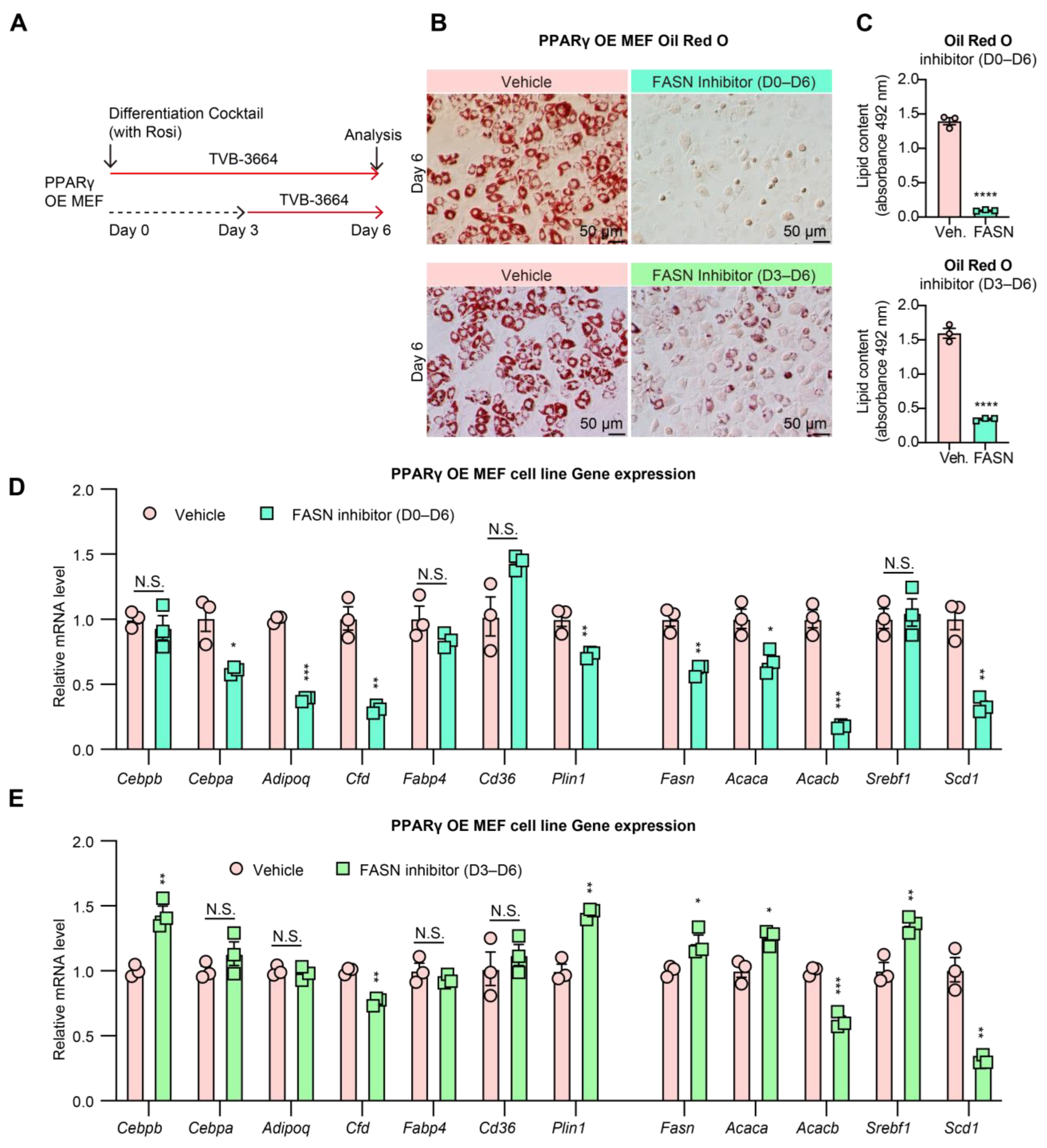 Biomedicines 11 01132 g004