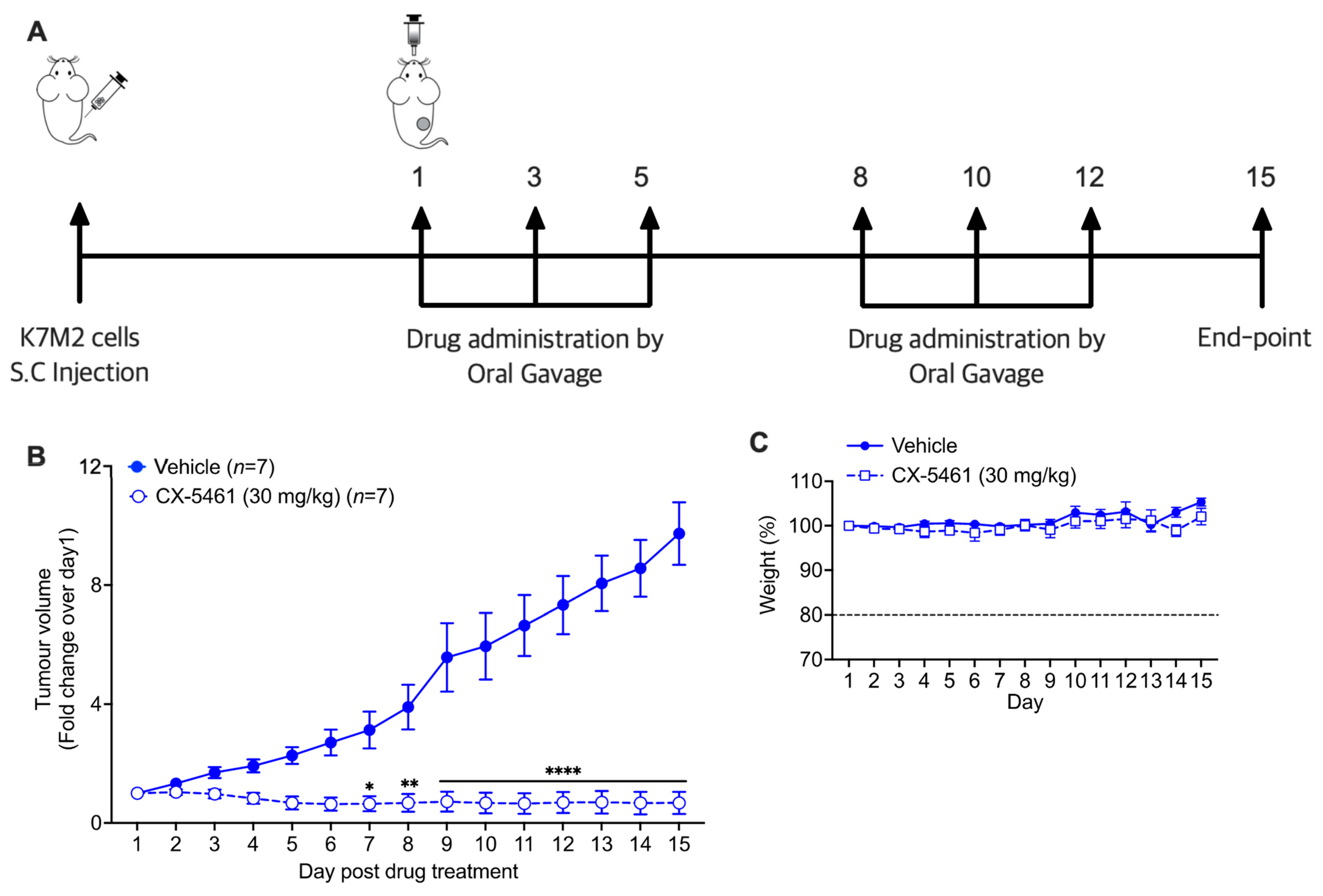 Biomedicines 11 01133 g005