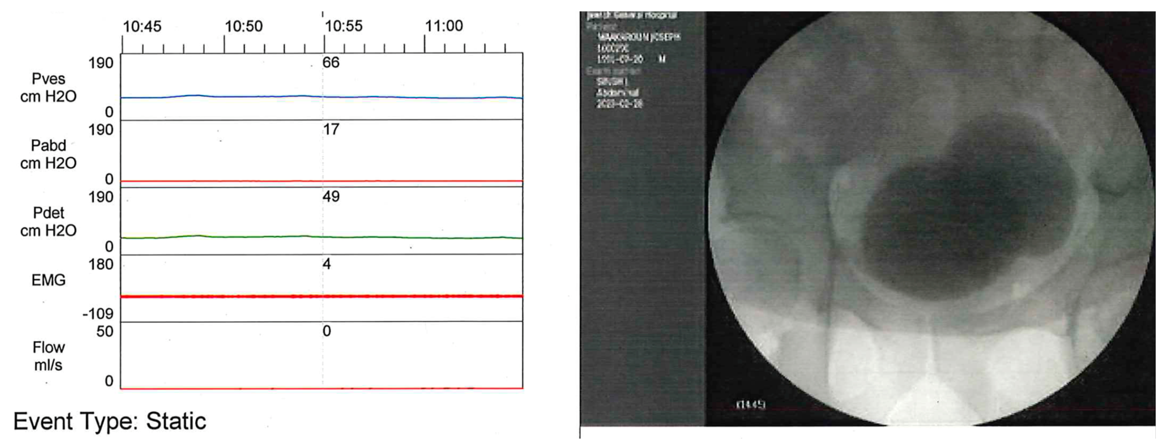 Biomedicines 11 01134 g001
