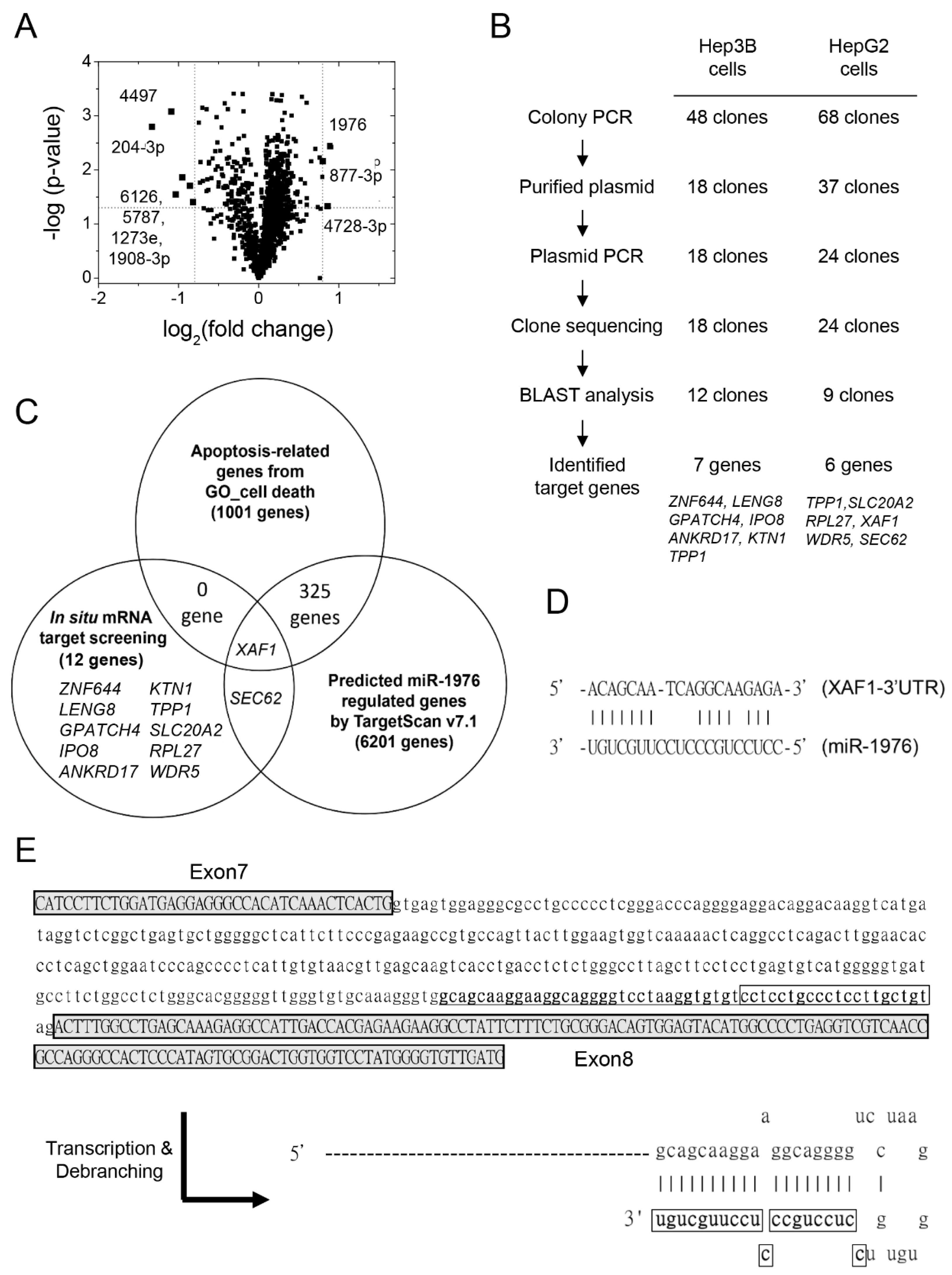 Biomedicines 11 01136 g001