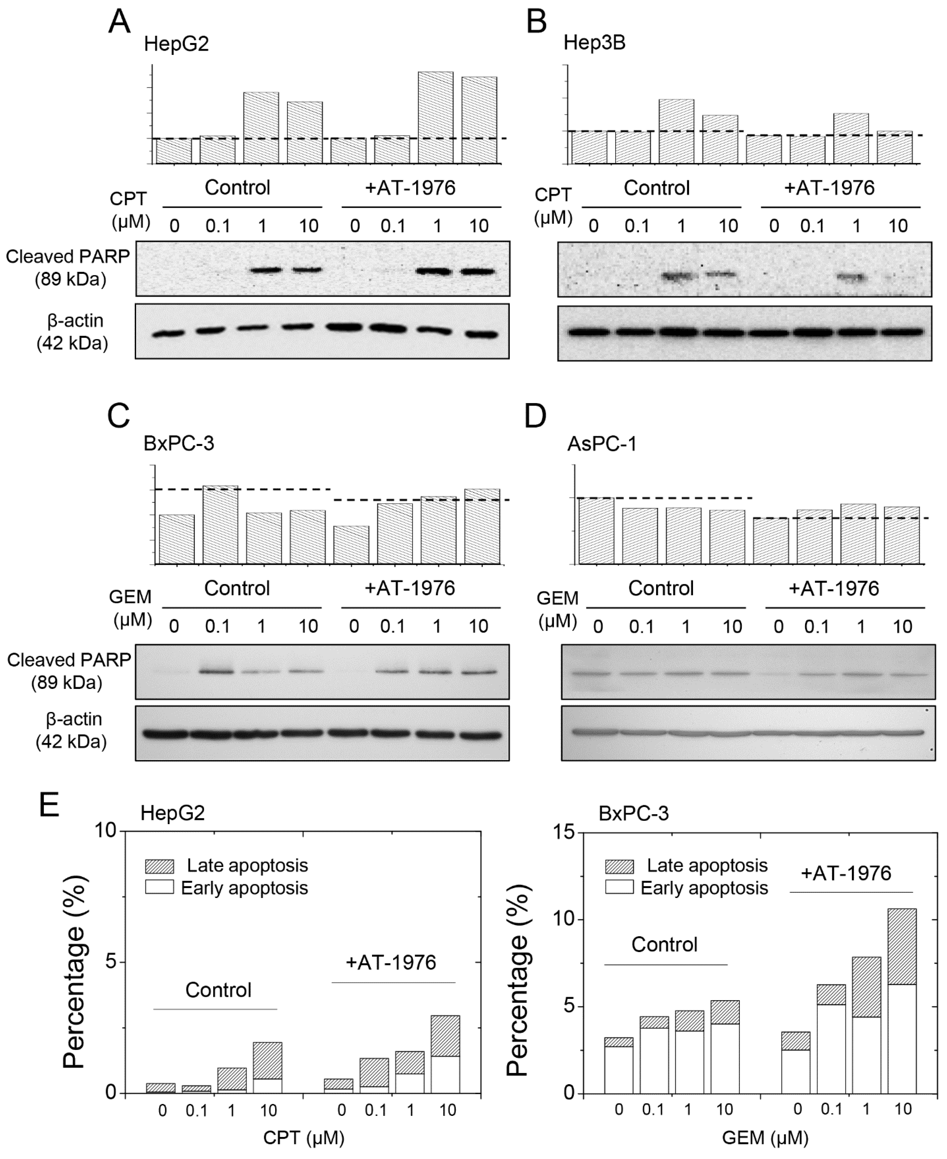 Biomedicines 11 01136 g005