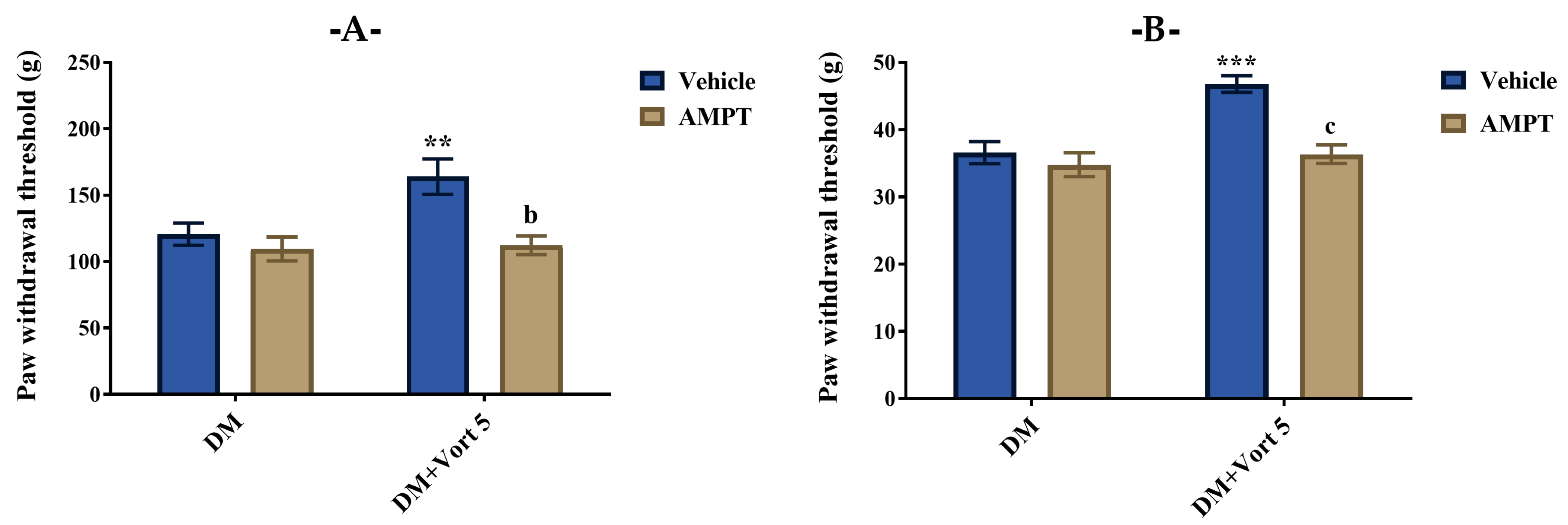 Biomedicines 11 01137 g006