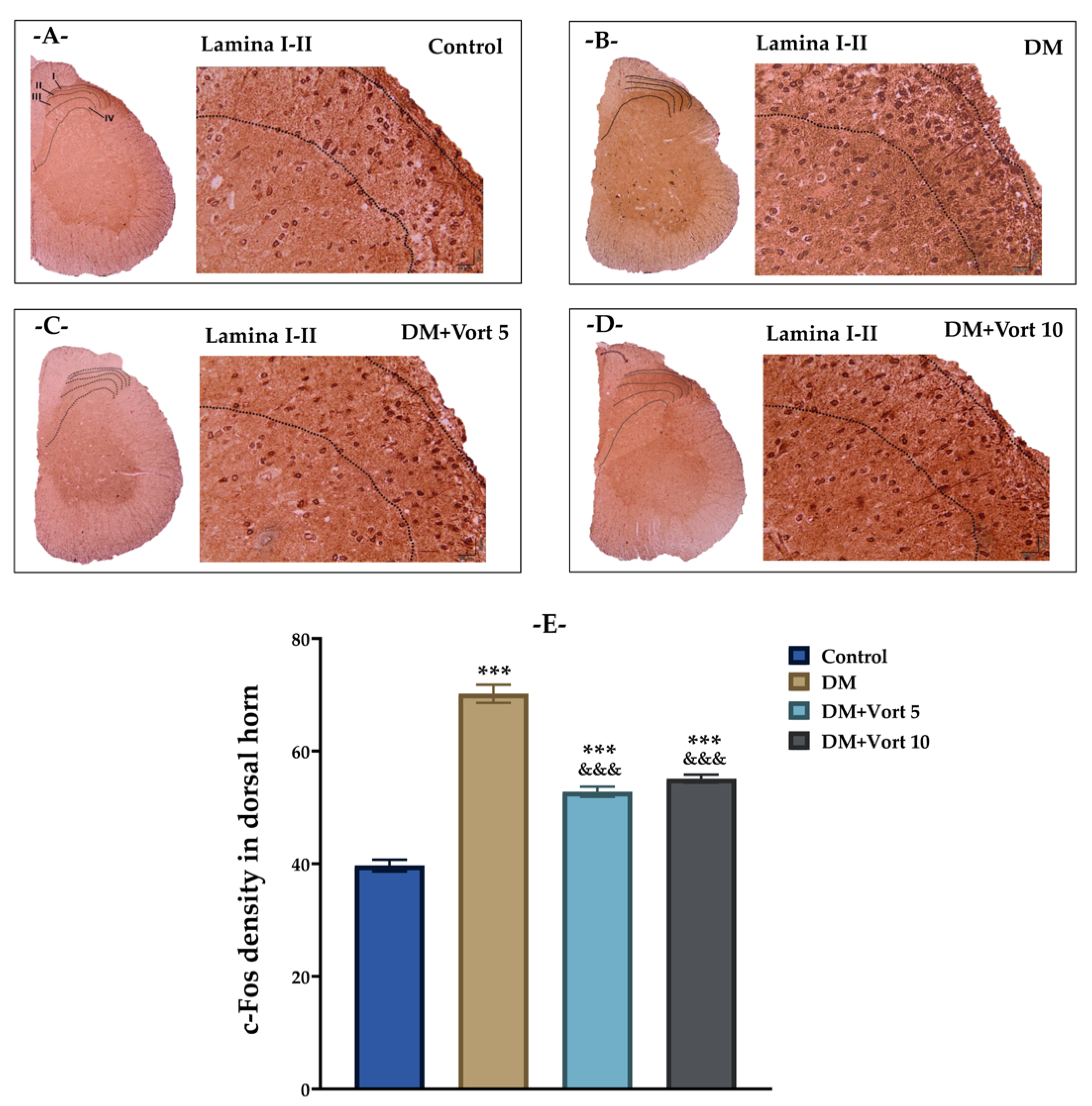 Biomedicines 11 01137 g011