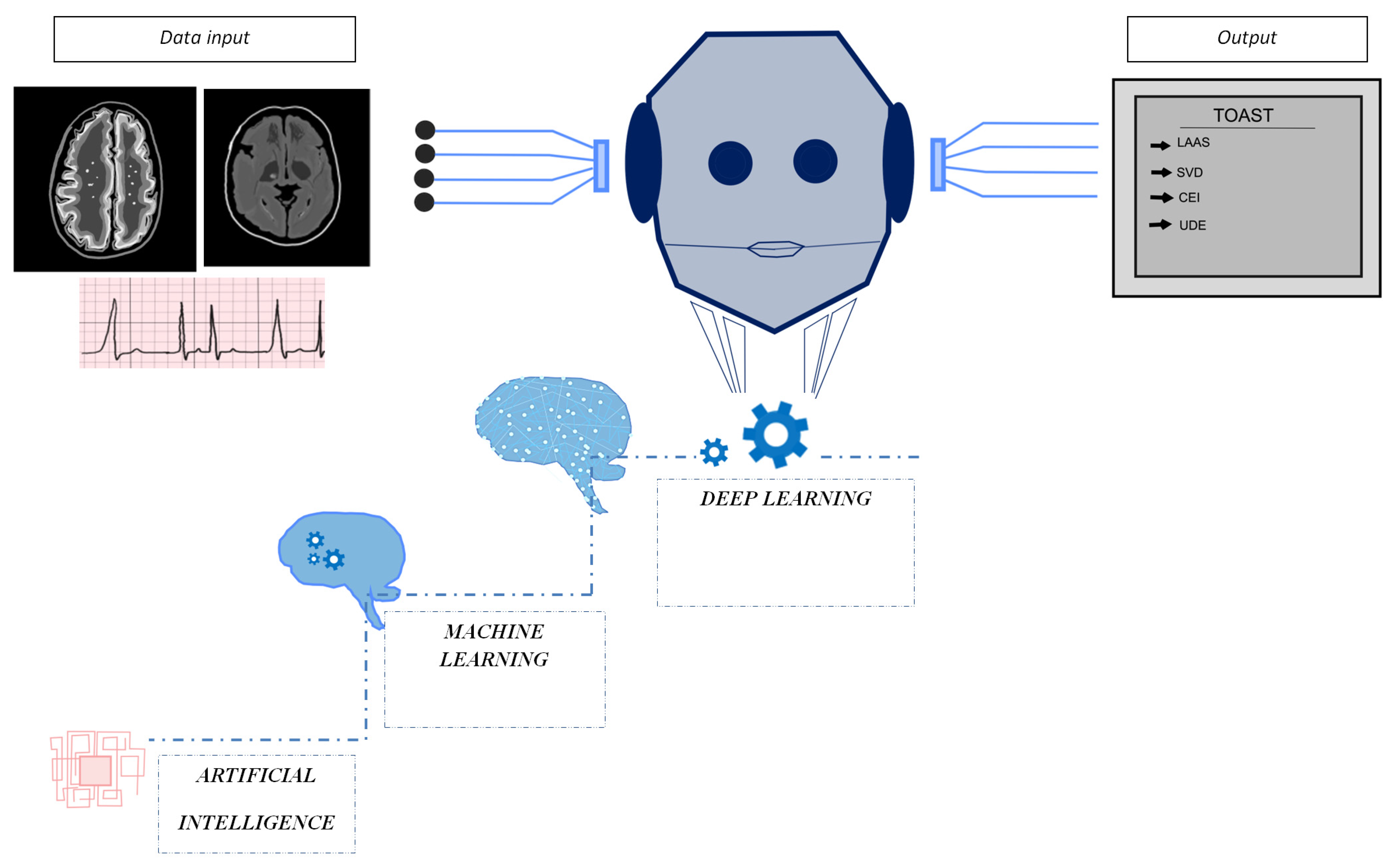 Biomedicines 11 01138 g001