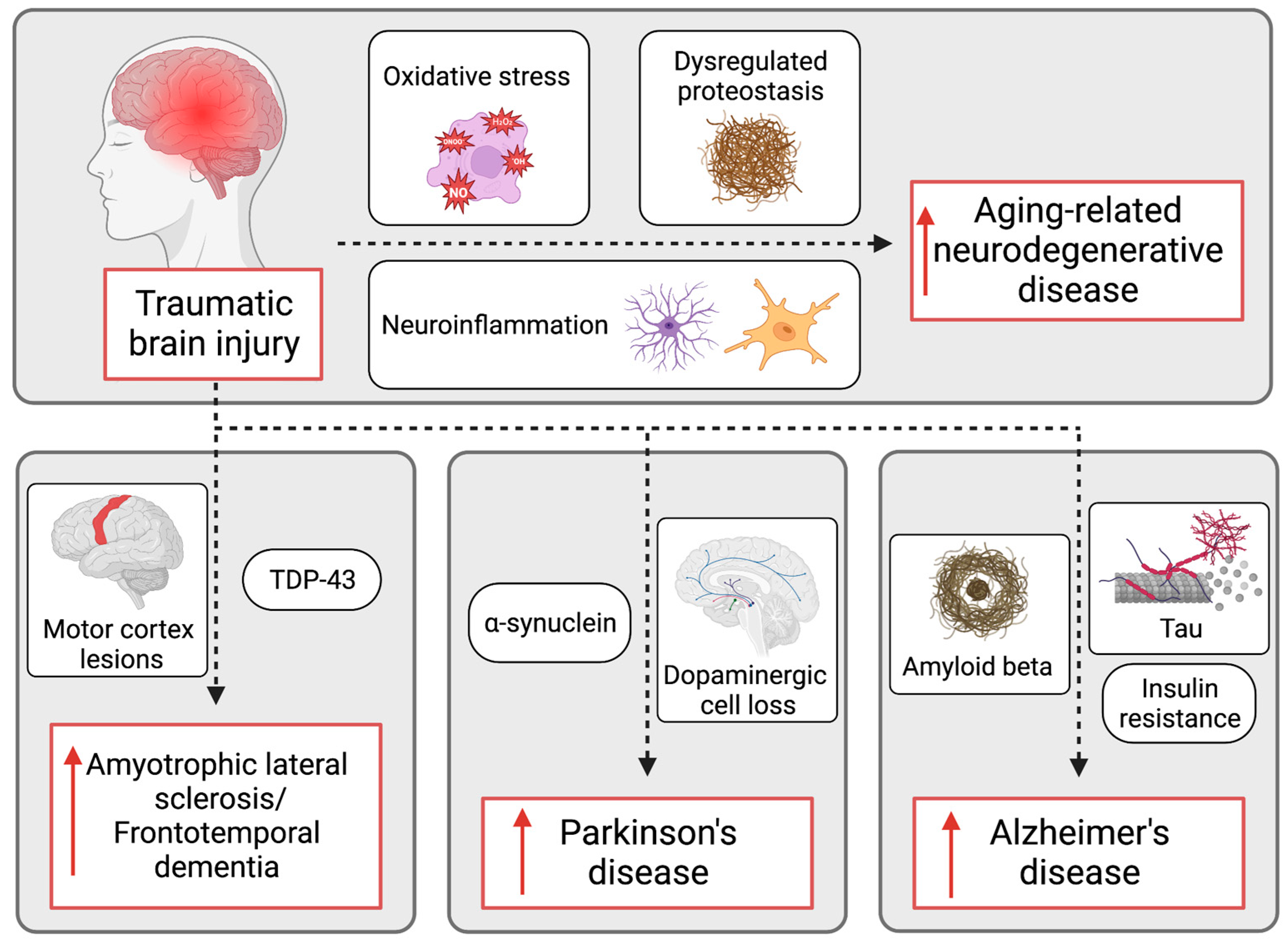 Biomedicines 11 01154 g002