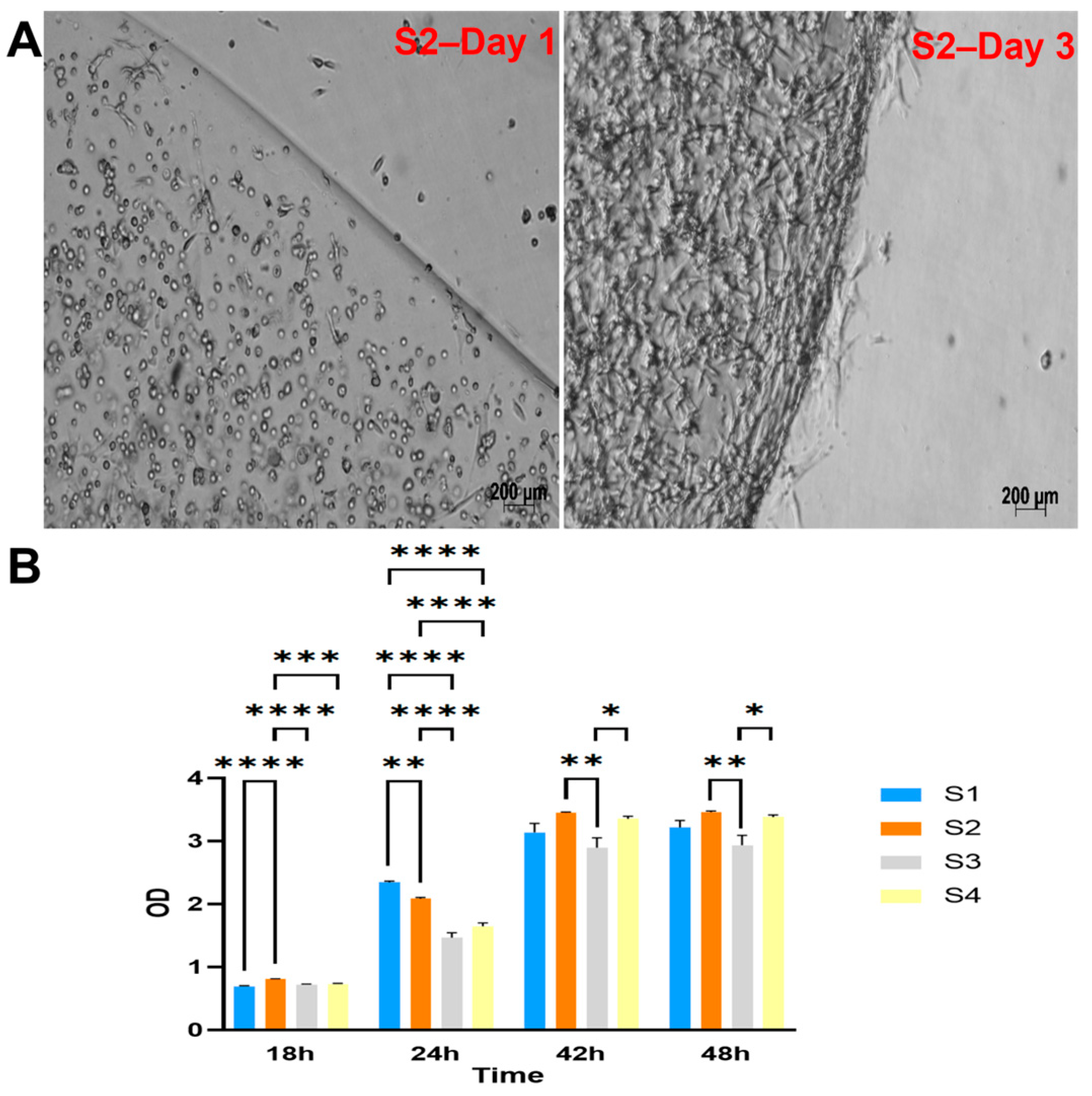 Biomedicines 11 01158 g002