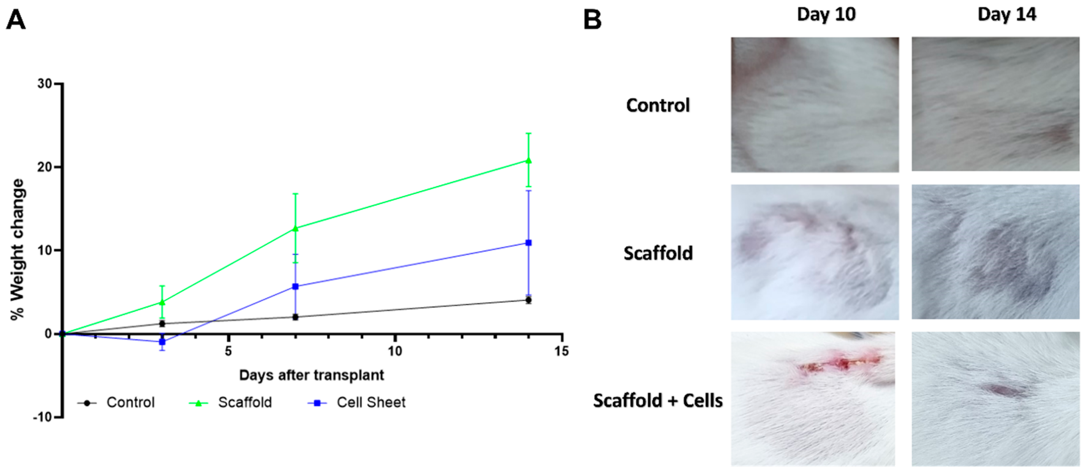 Biomedicines 11 01158 g006